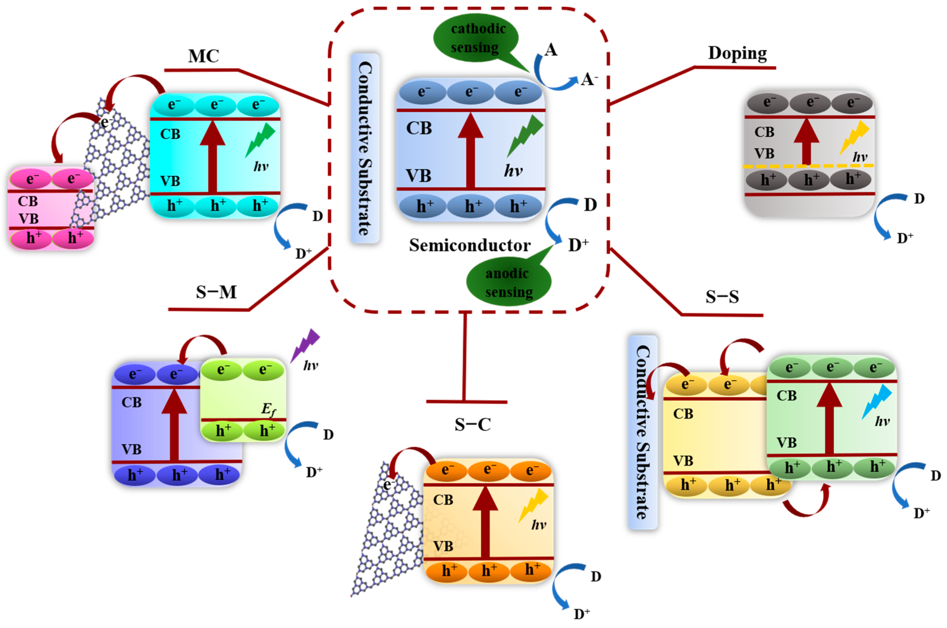 Chemosensors 11 00412 g001