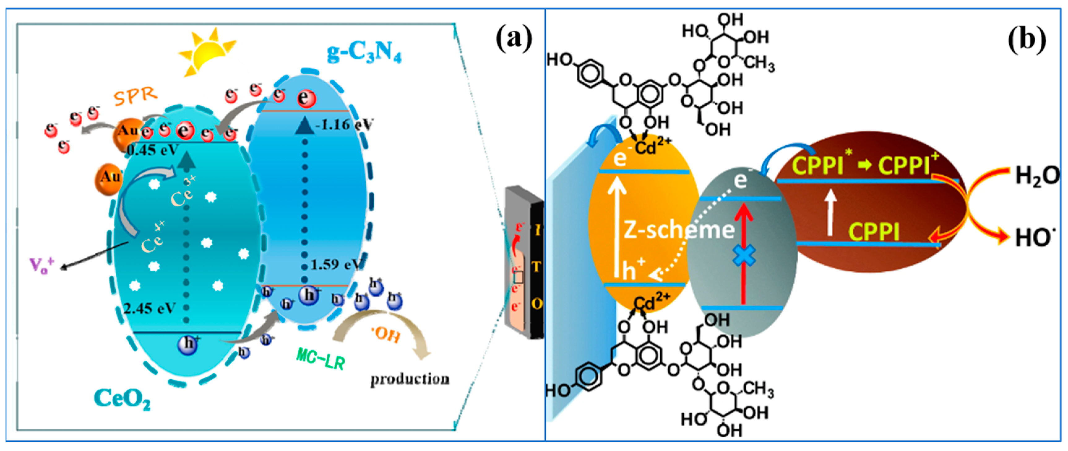 Chemosensors 11 00412 g007