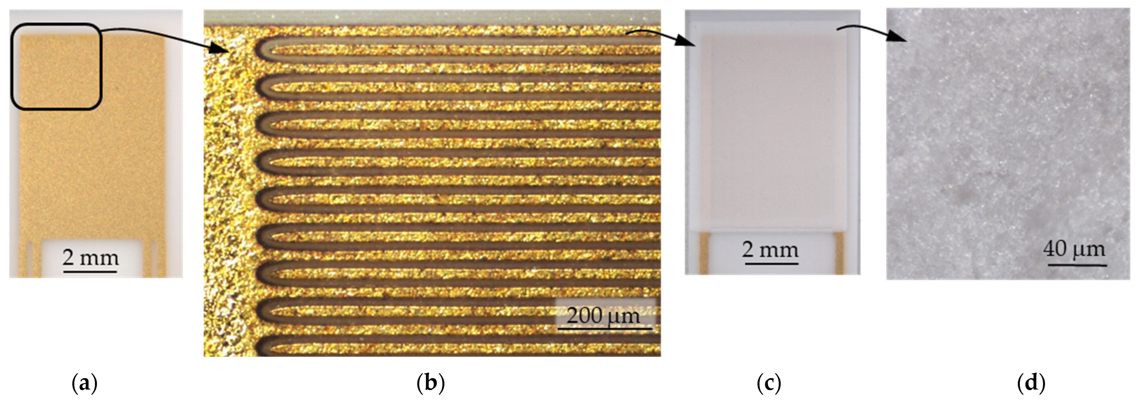 Chemosensors 11 00413 g002