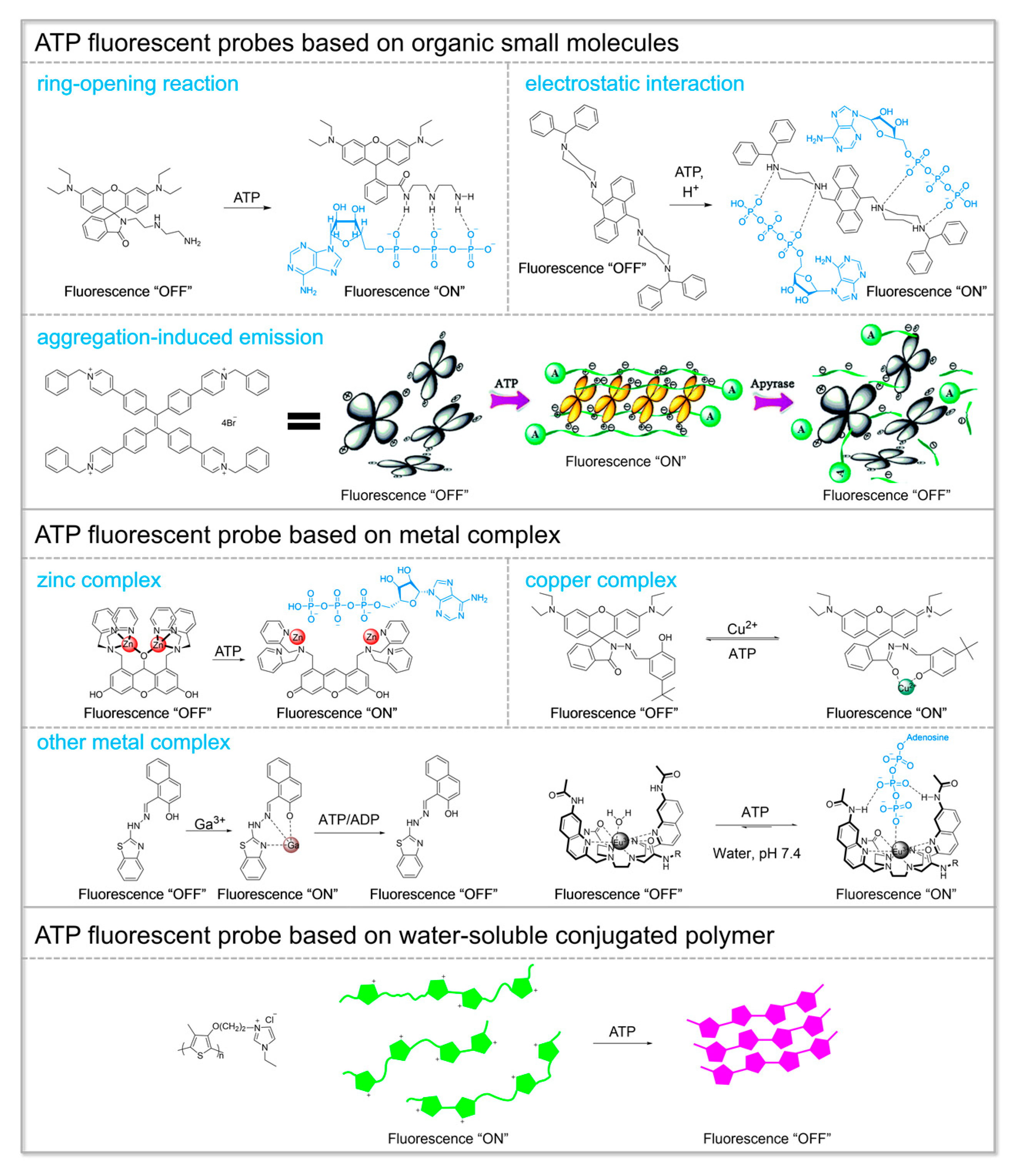 Chemosensors 11 00417 g001