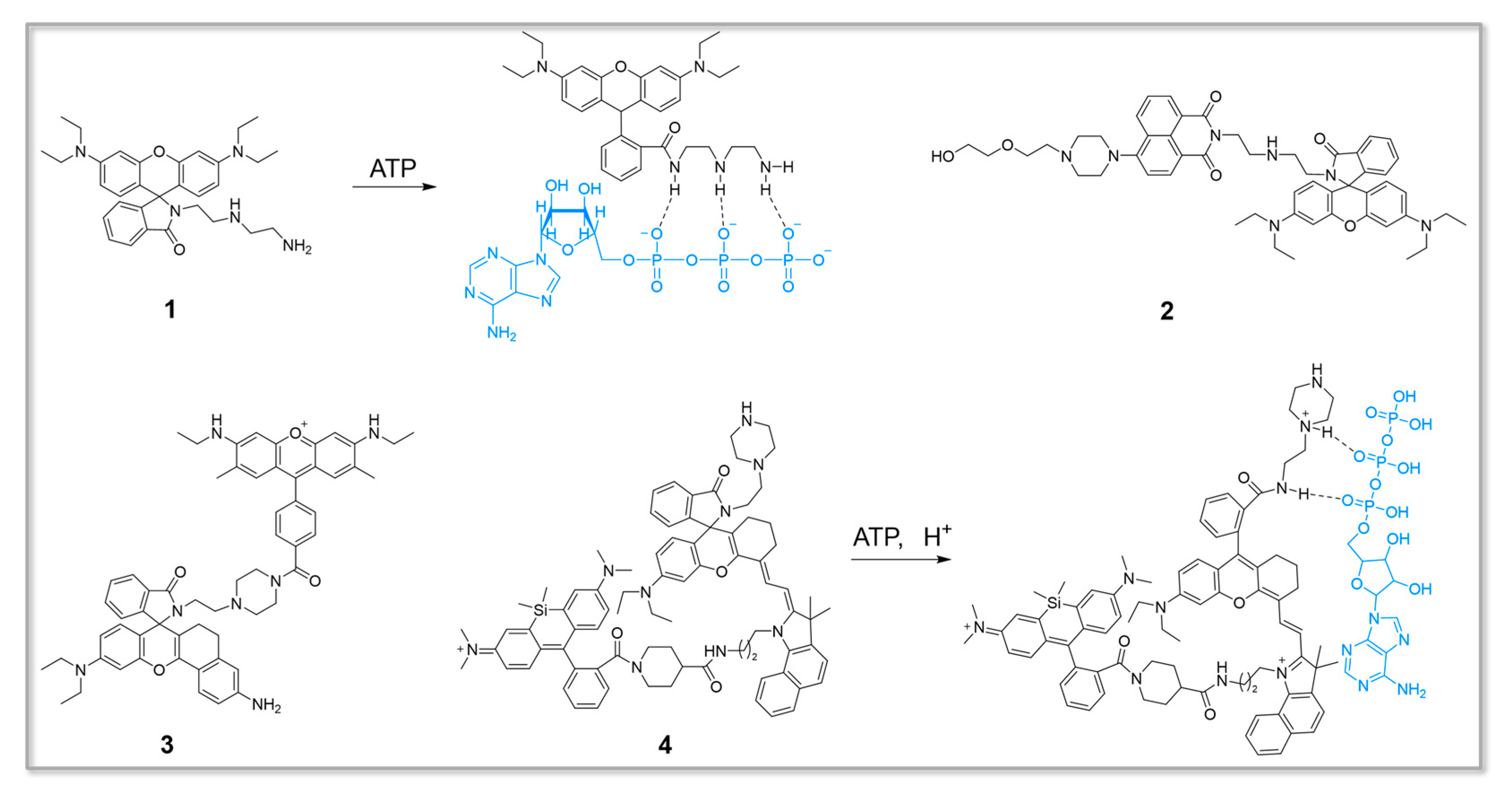 Chemosensors 11 00417 g002
