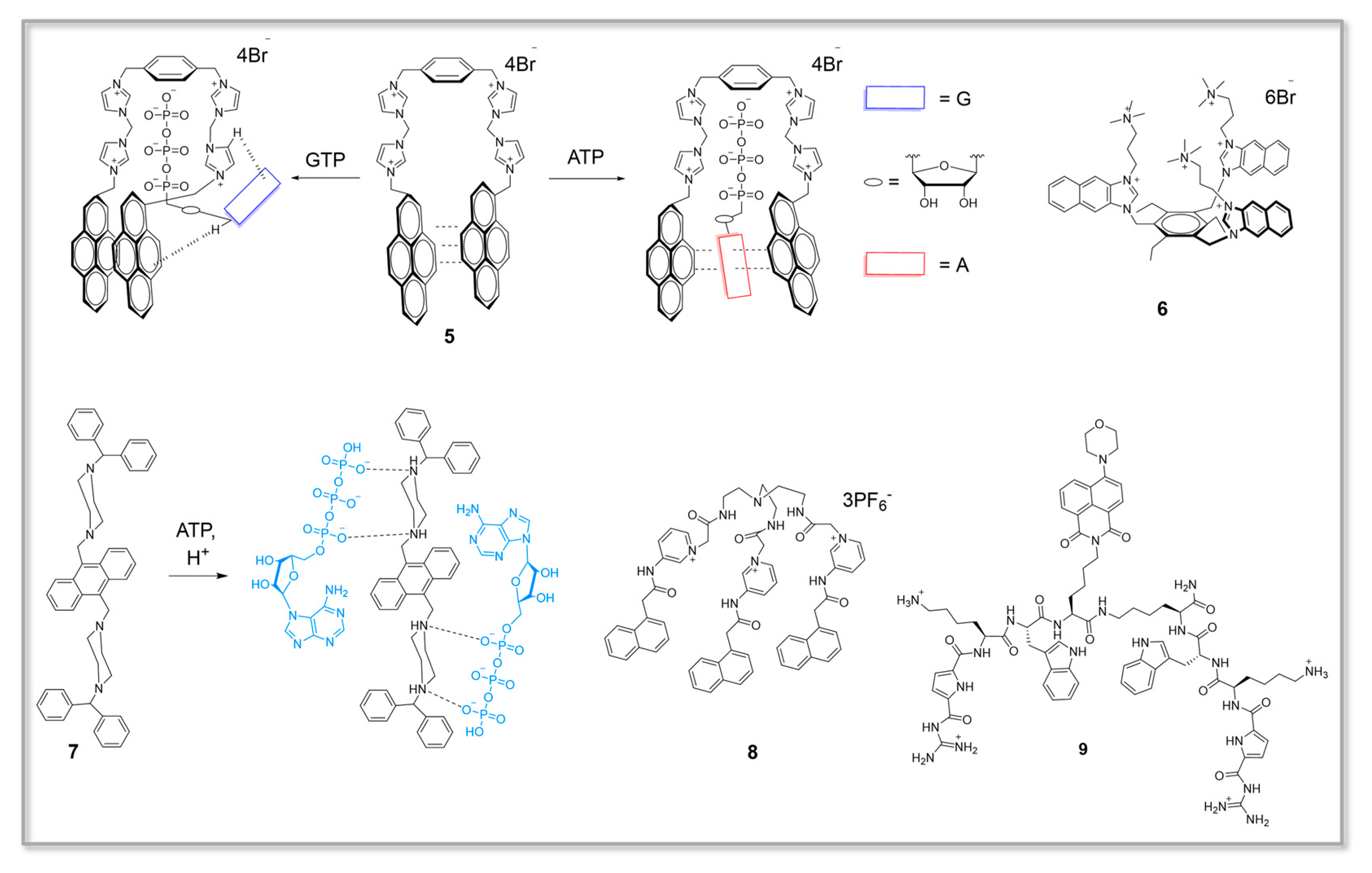 Chemosensors 11 00417 g003