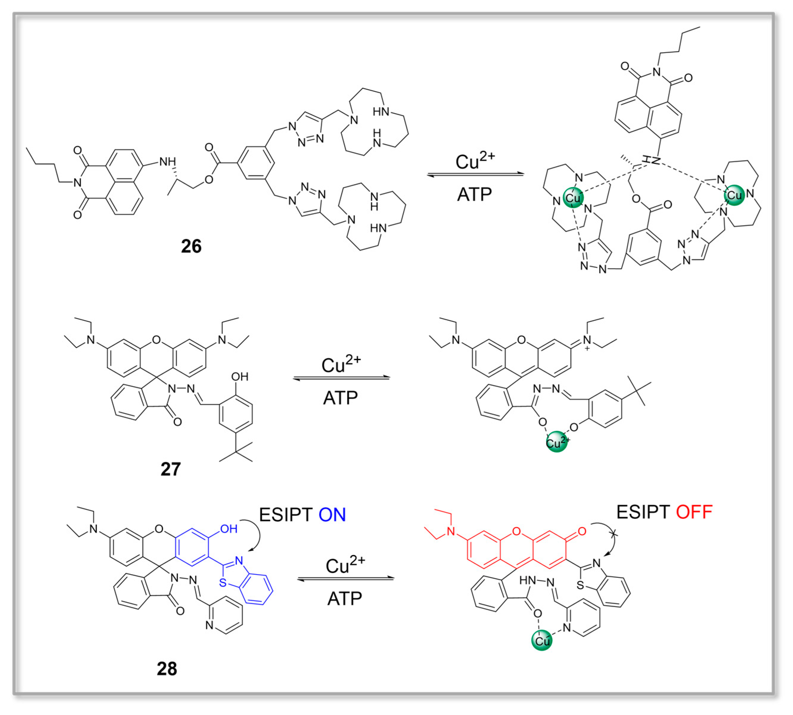 Chemosensors 11 00417 g006