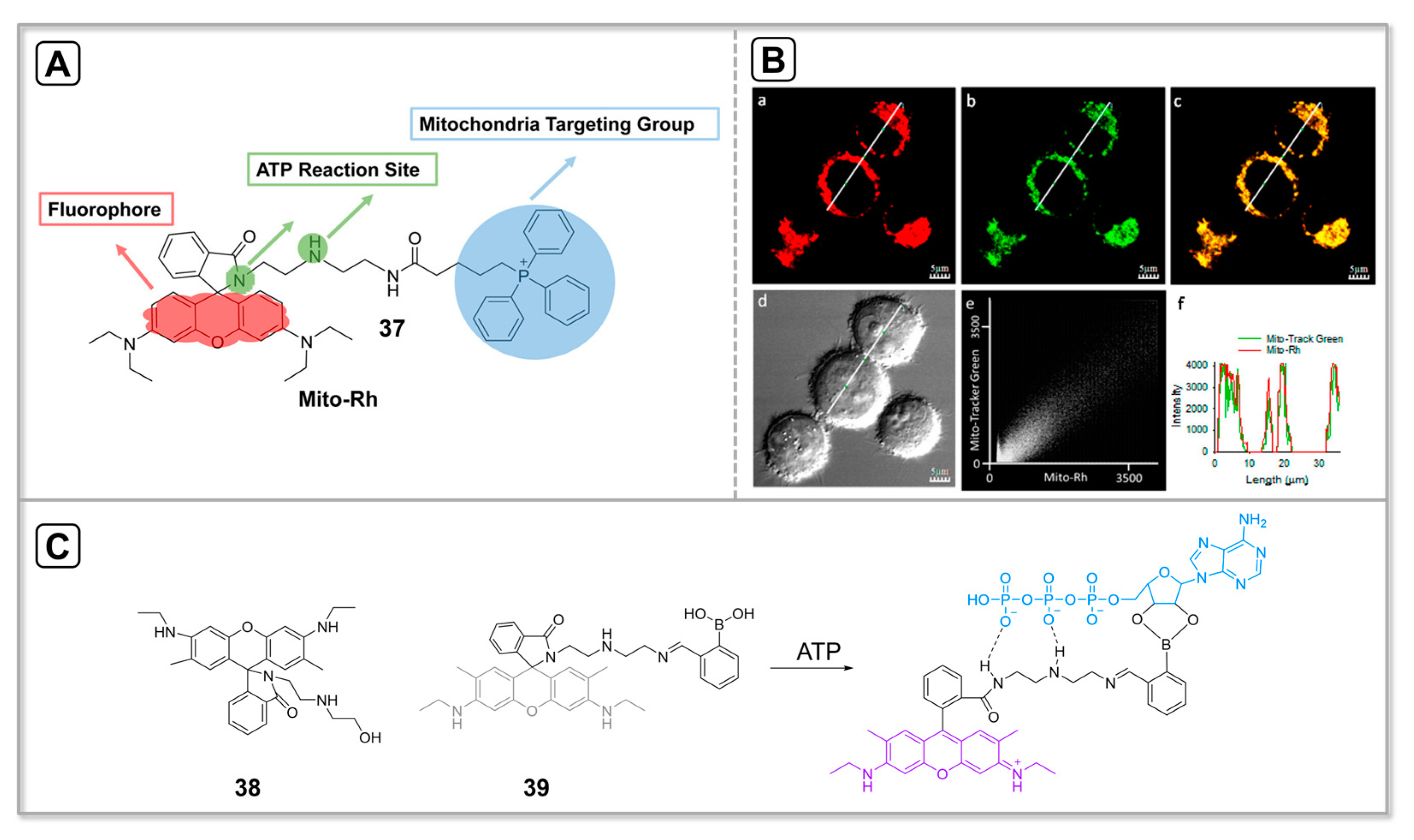 Chemosensors 11 00417 g009