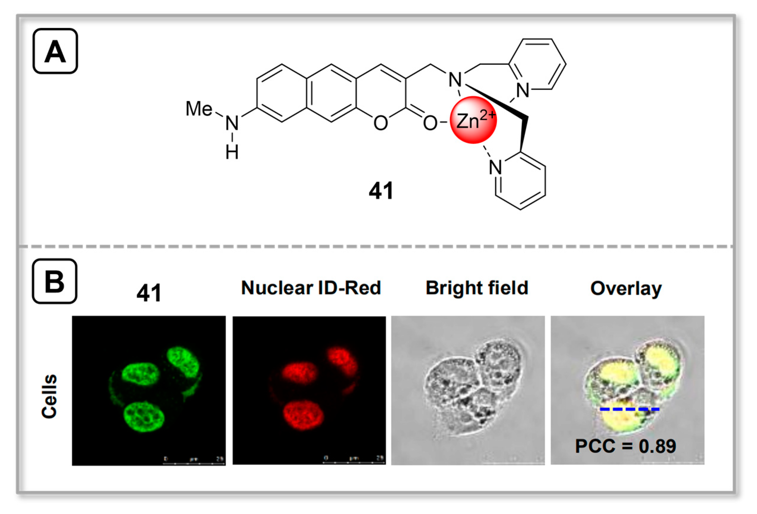 Chemosensors 11 00417 g011