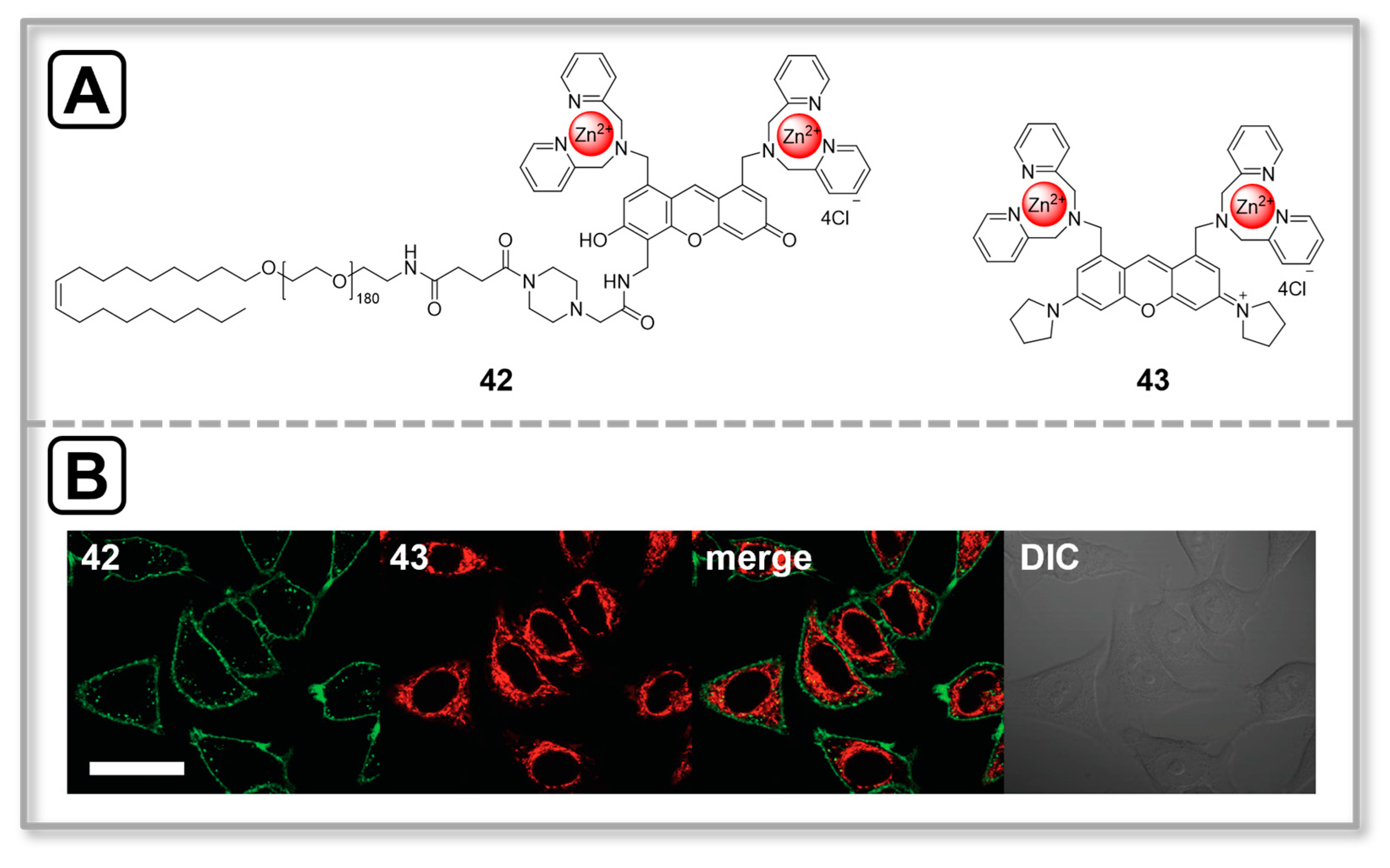 Chemosensors 11 00417 g012