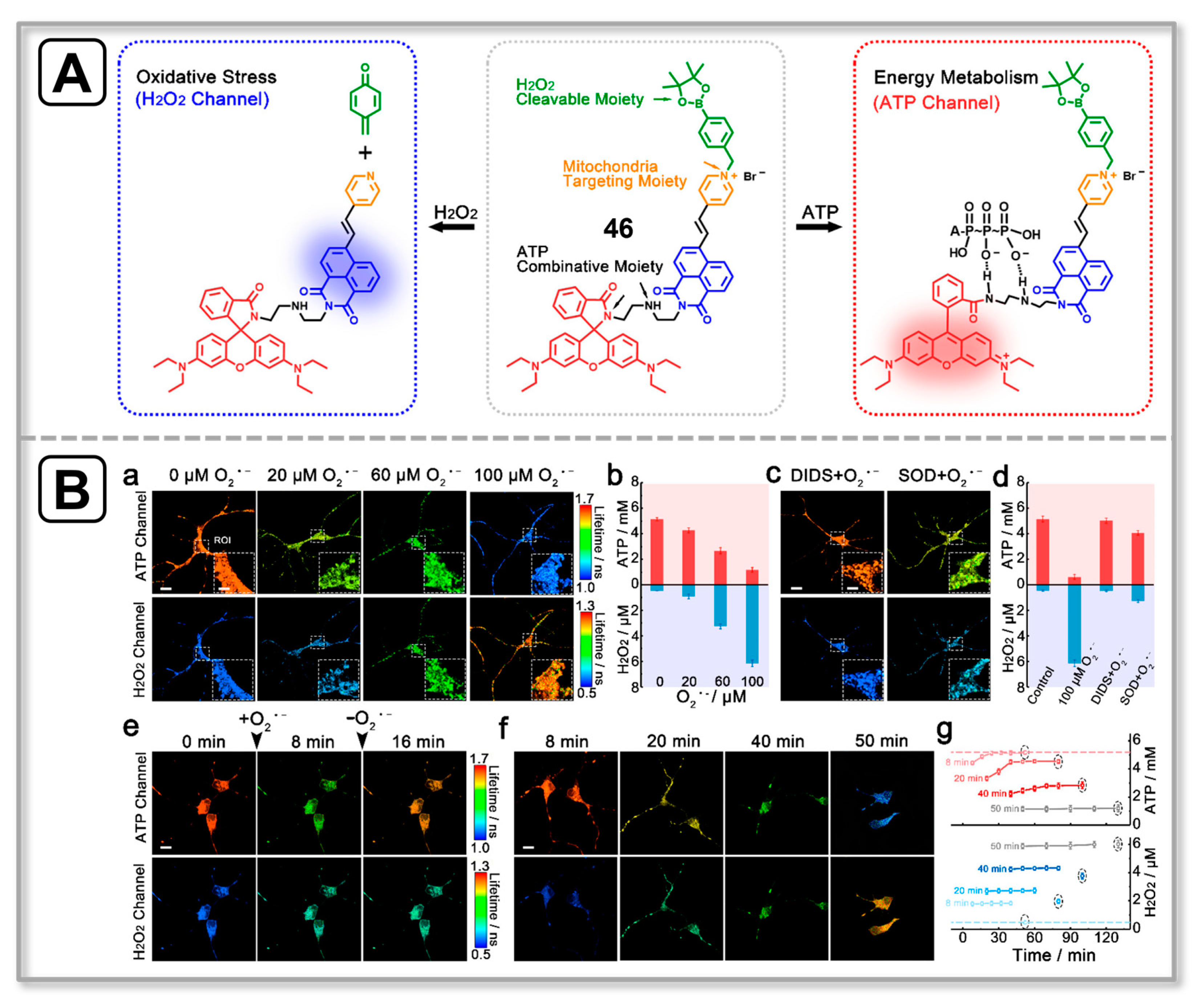 Chemosensors 11 00417 g015