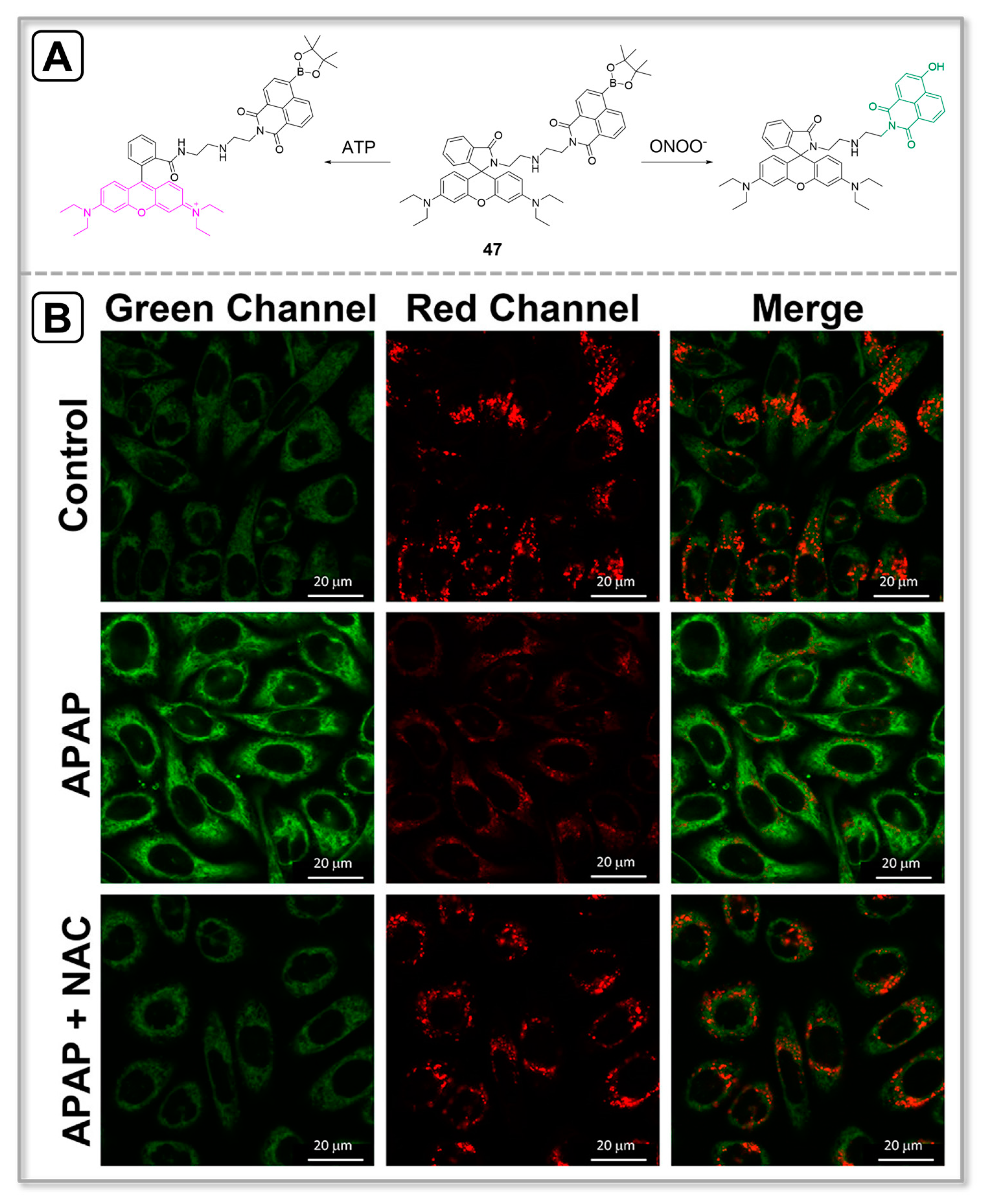 Chemosensors 11 00417 g016