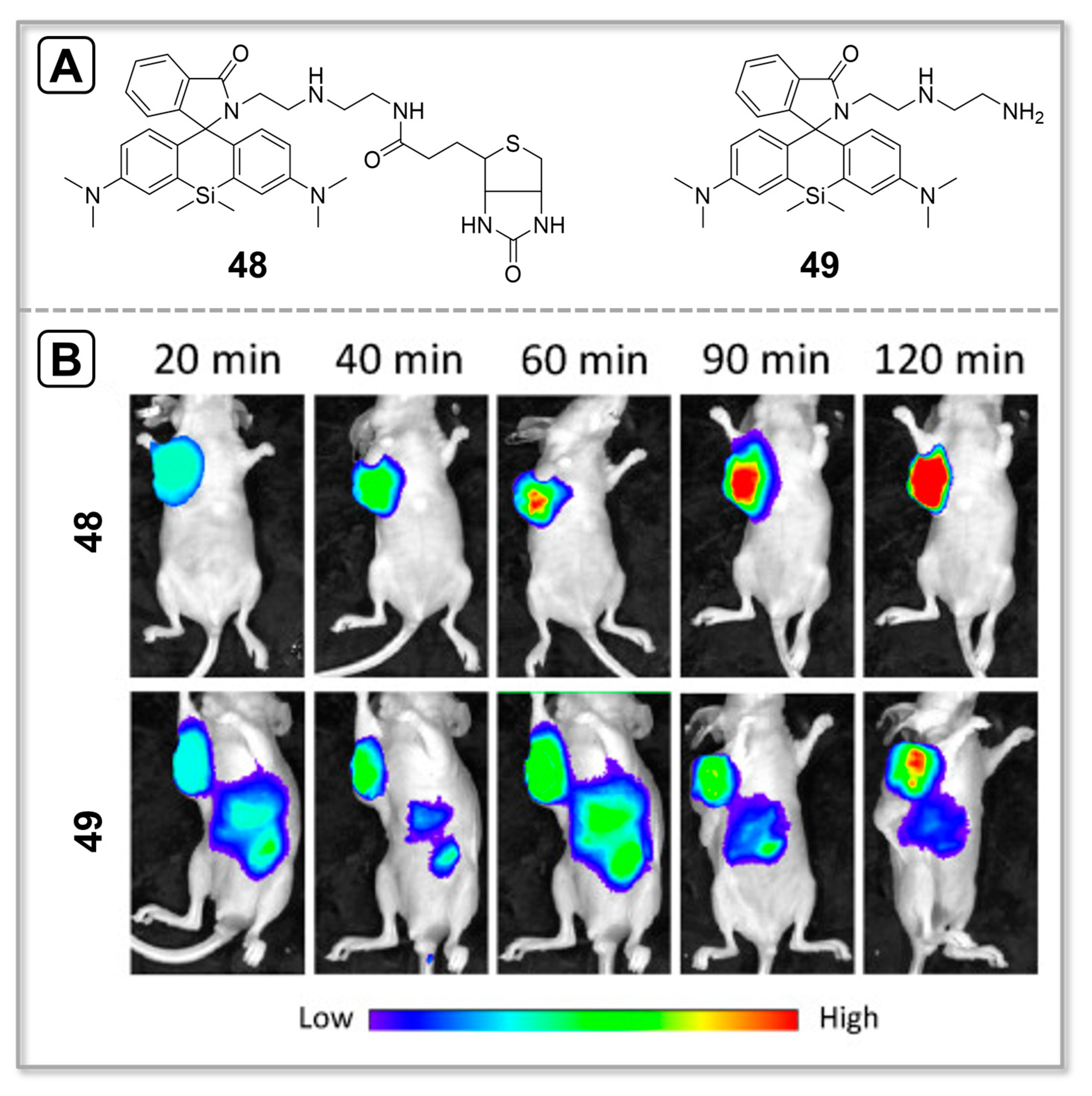 Chemosensors 11 00417 g017