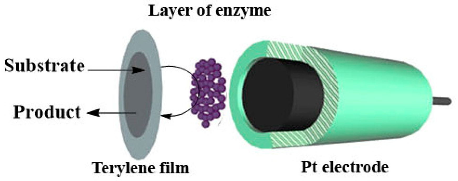 Chemosensors 11 00418 g001 Chemosensors 11 00418 g001