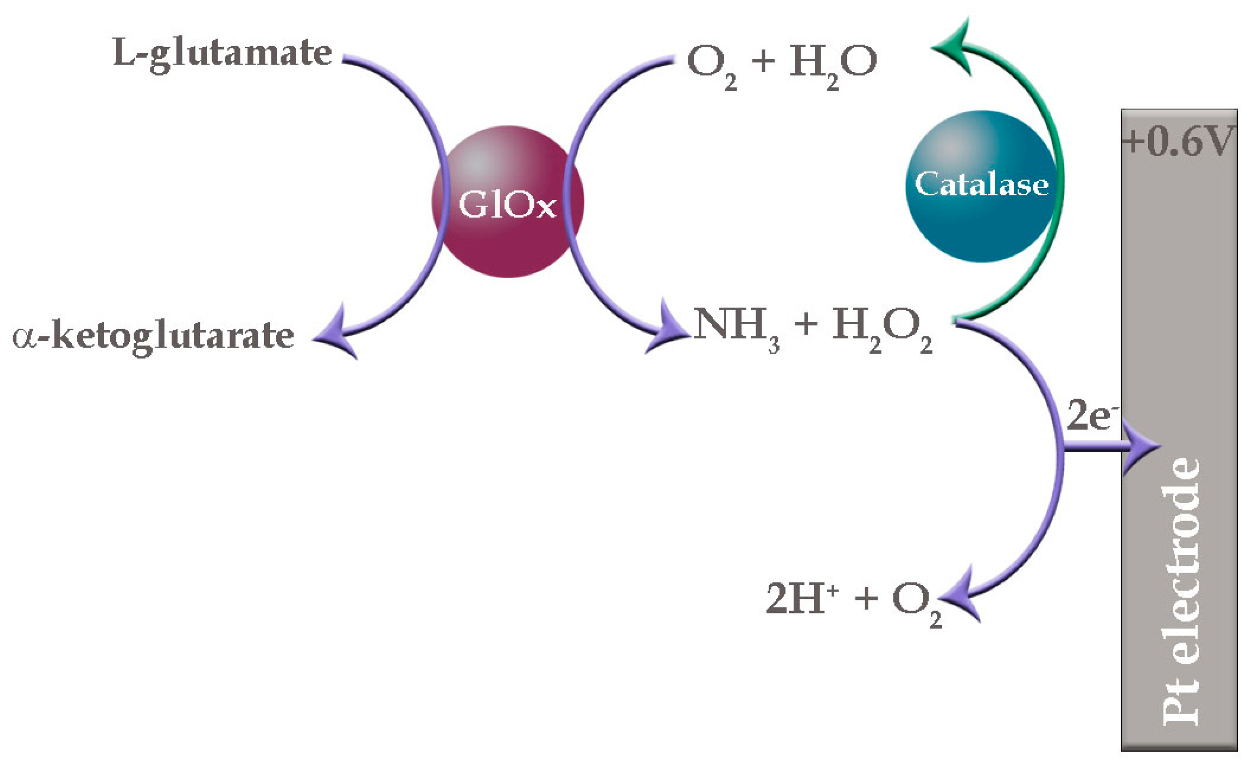 Chemosensors 11 00418 g007 Chemosensors 11 00418 g007