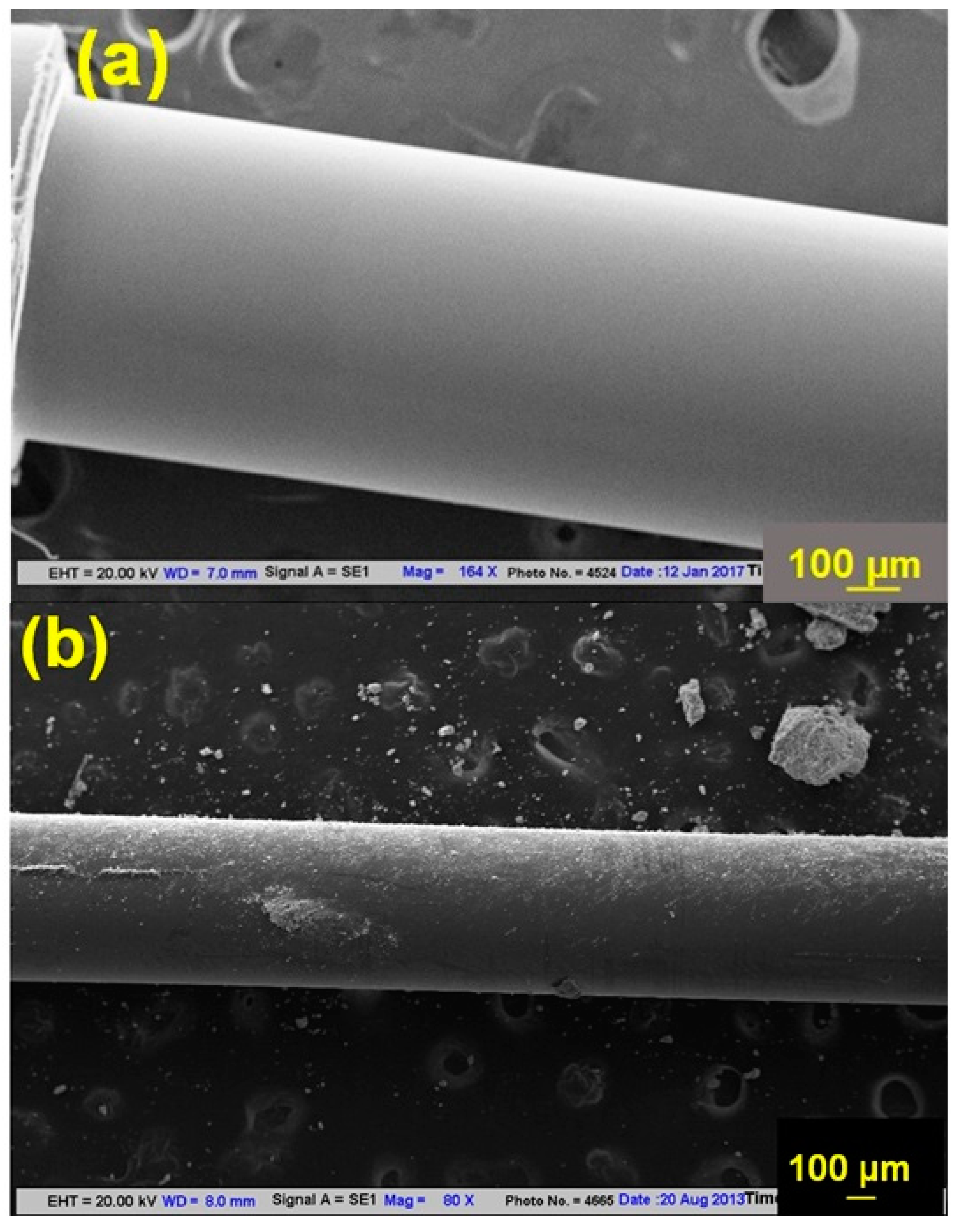 Chemosensors 11 00421 g001
