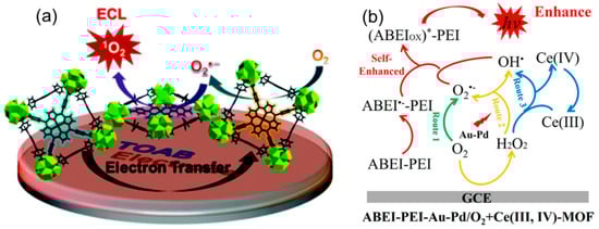 Chemosensors 11 00422 g003