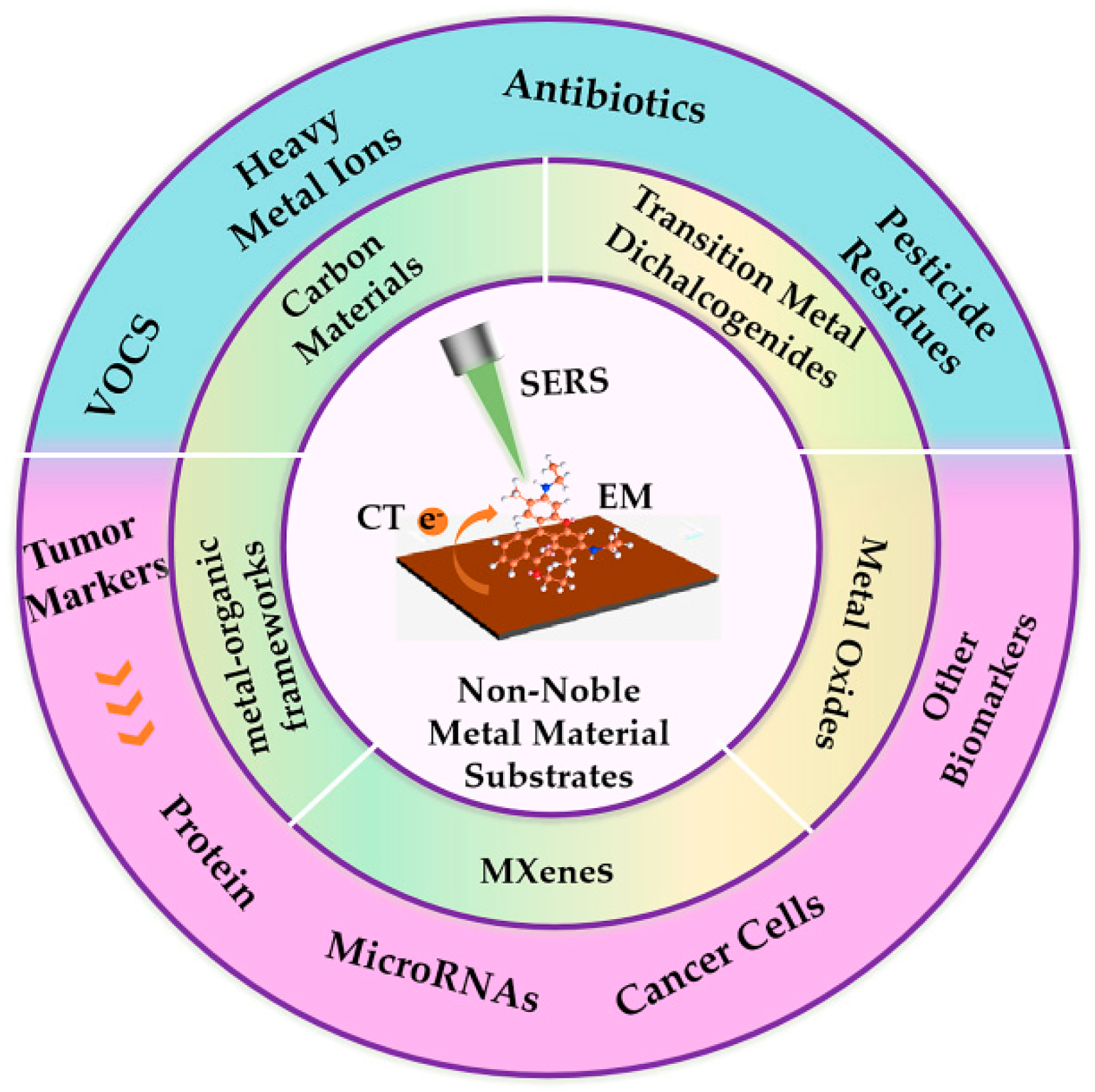 Chemosensors 11 00427 g001