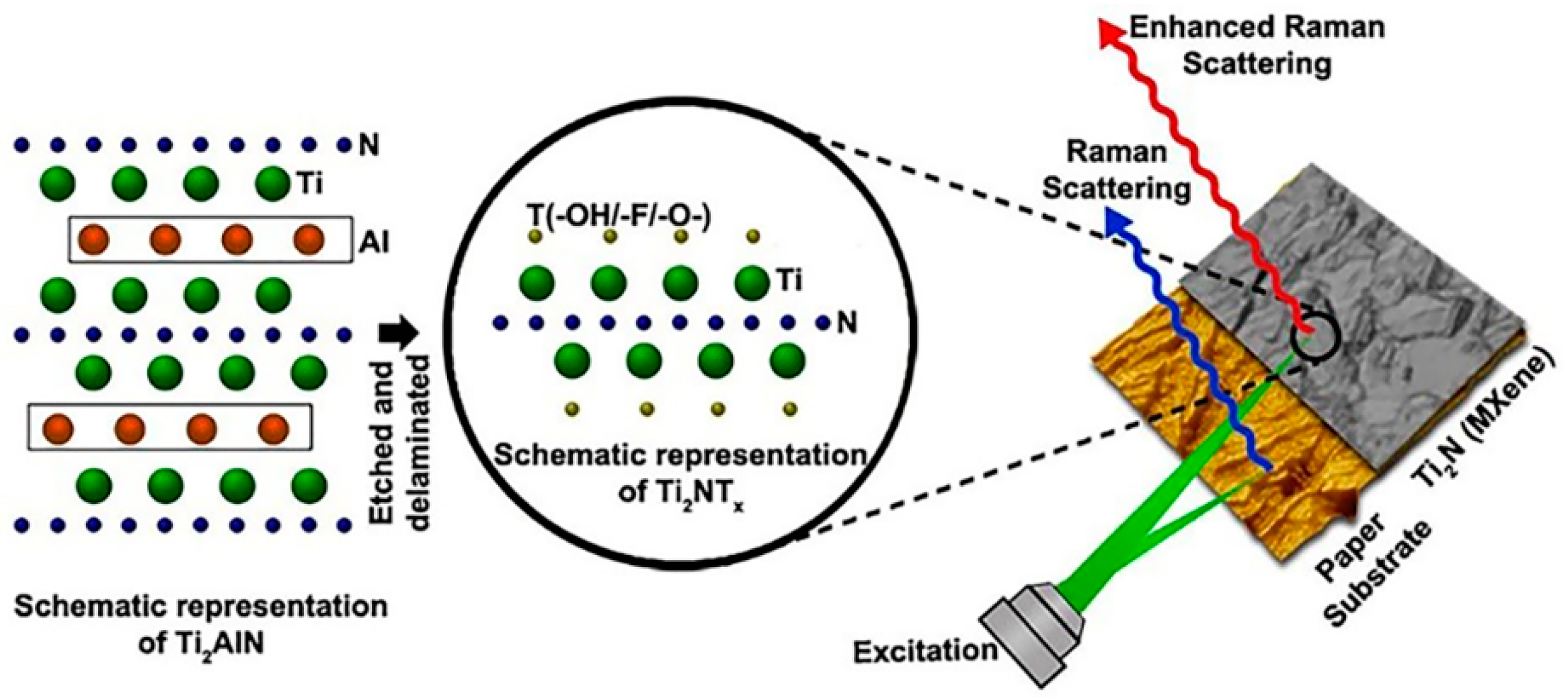Chemosensors 11 00427 g006