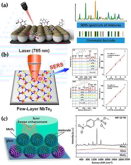 Chemosensors 11 00427 g007