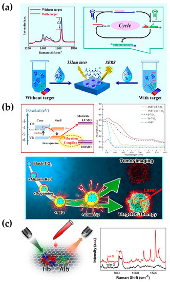 Chemosensors 11 00427 g008