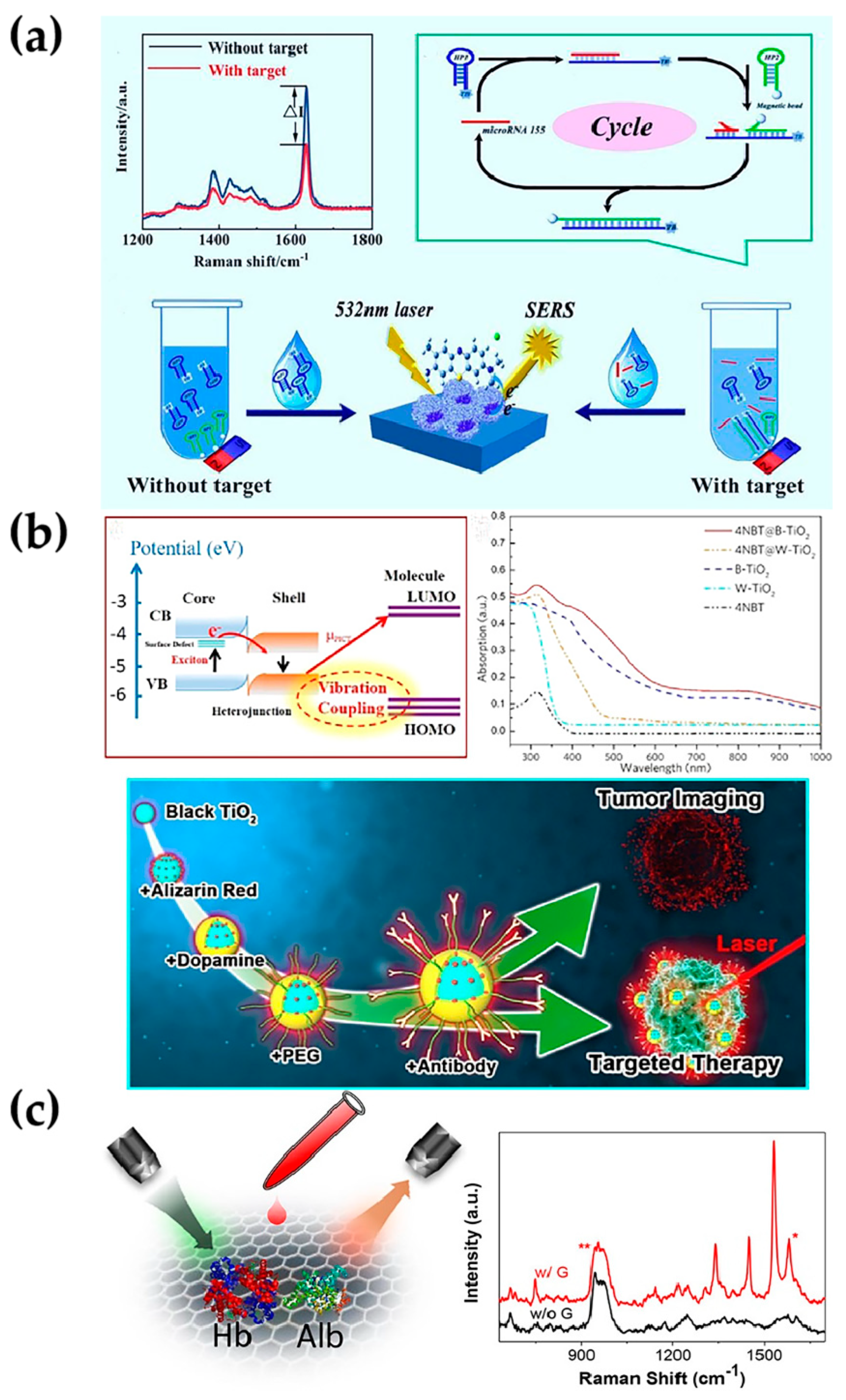 Chemosensors 11 00427 g008