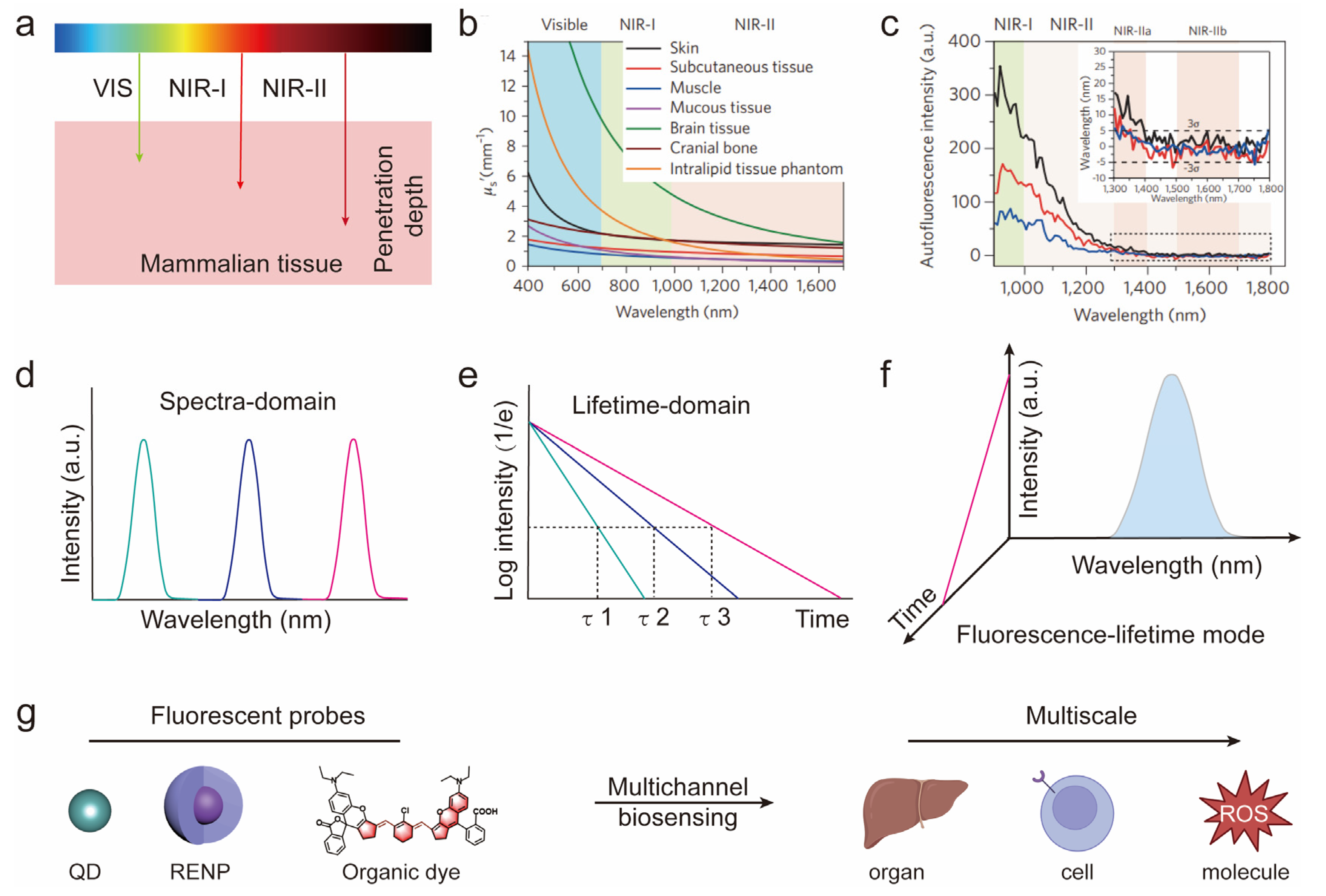 Chemosensors 11 00433 g001