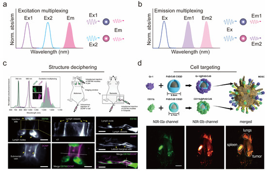 Chemosensors 11 00433 g002
