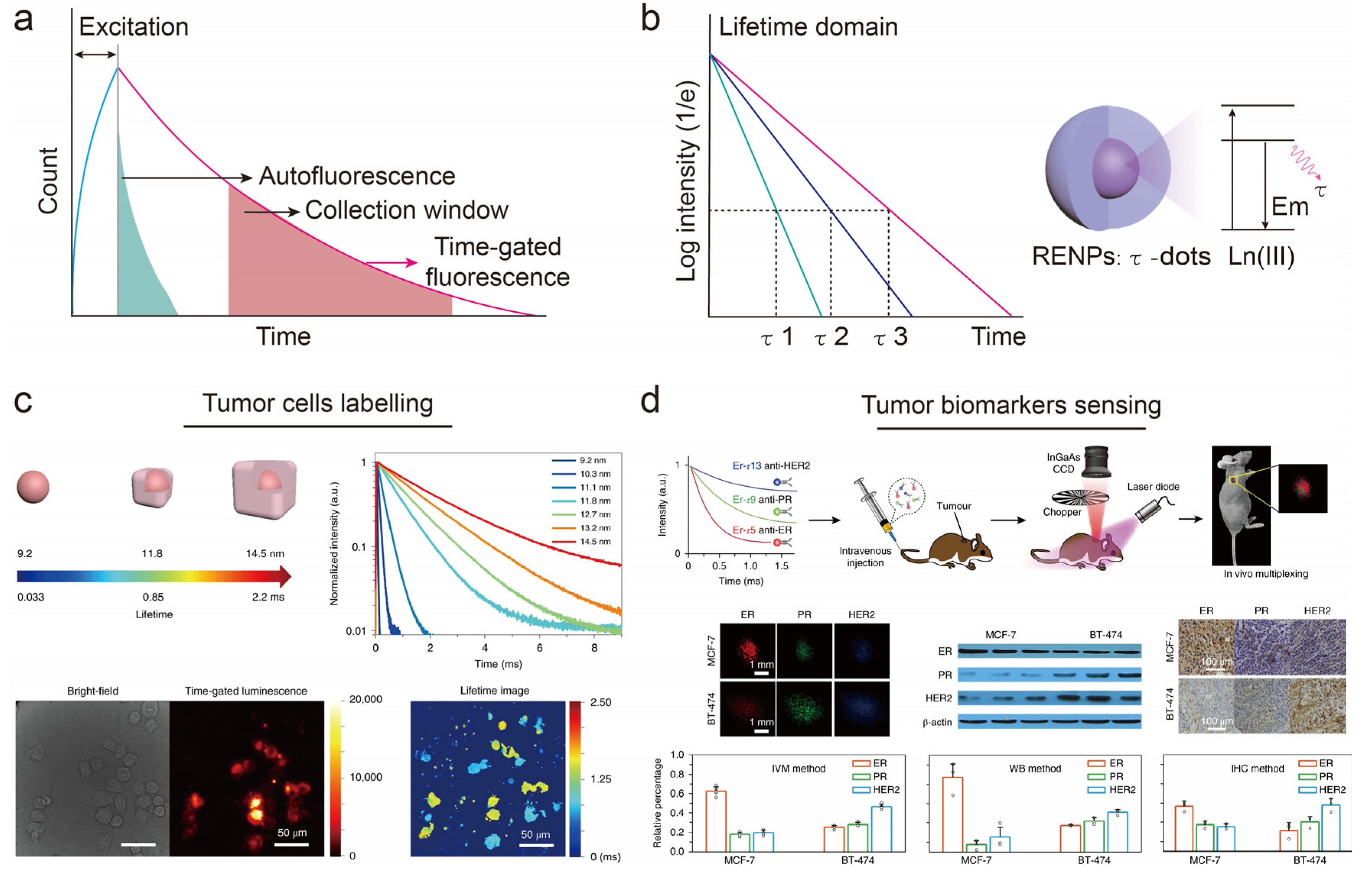 Chemosensors 11 00433 g005