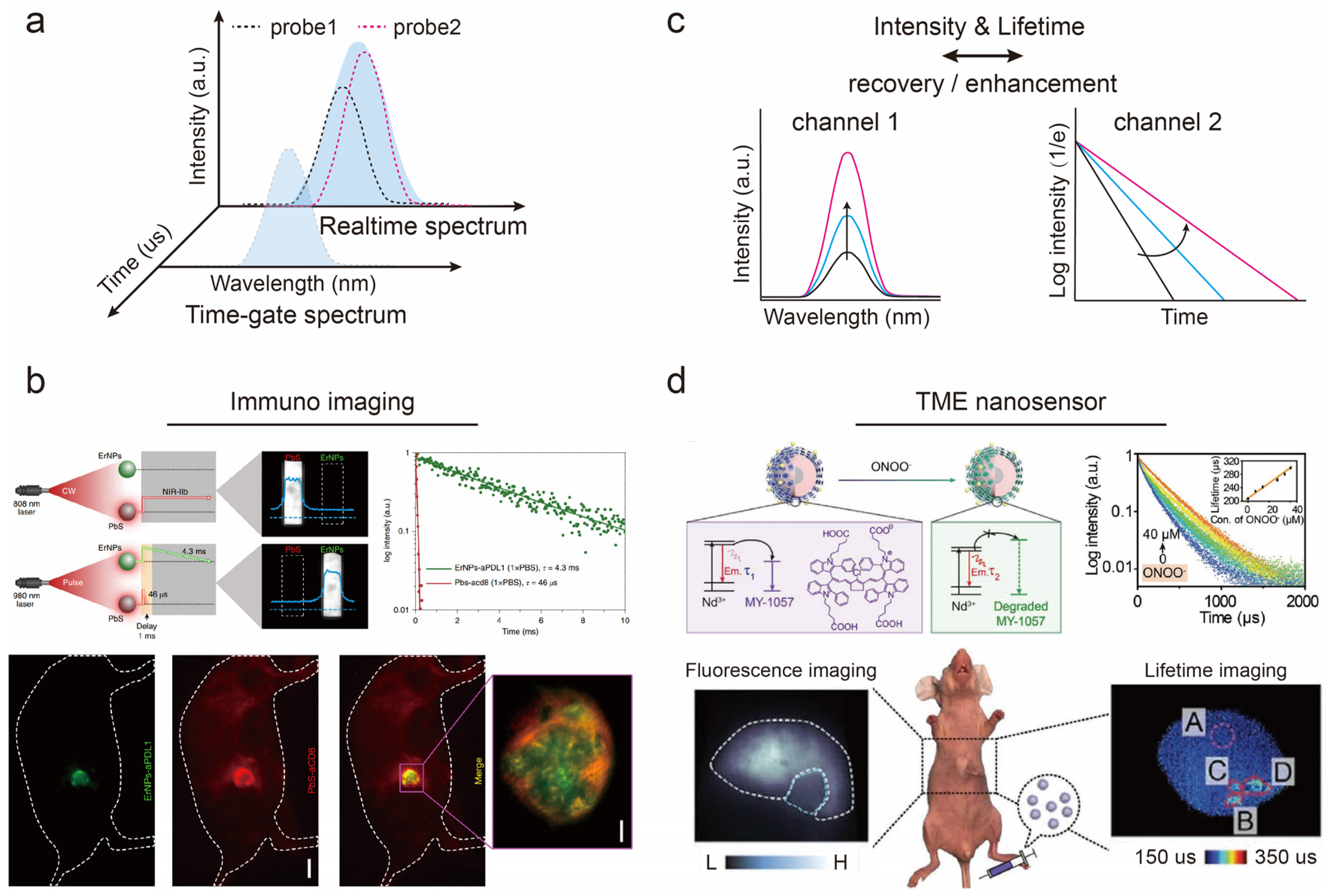 Chemosensors 11 00433 g006