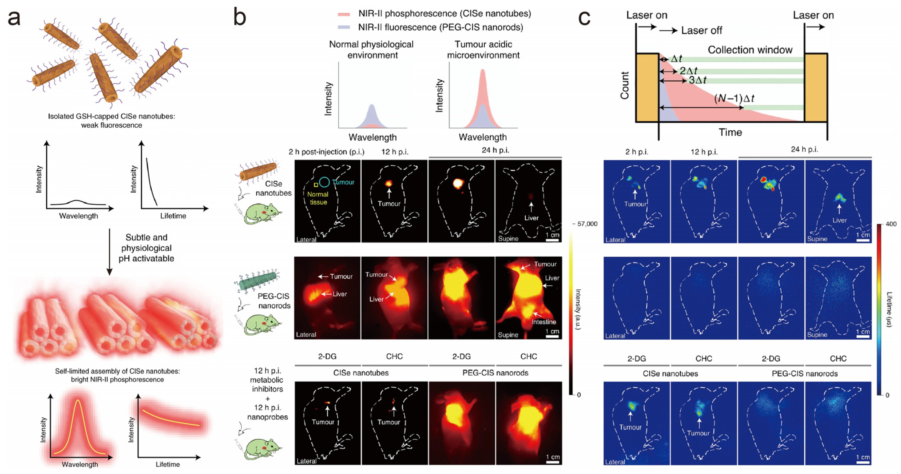 Chemosensors 11 00433 g007