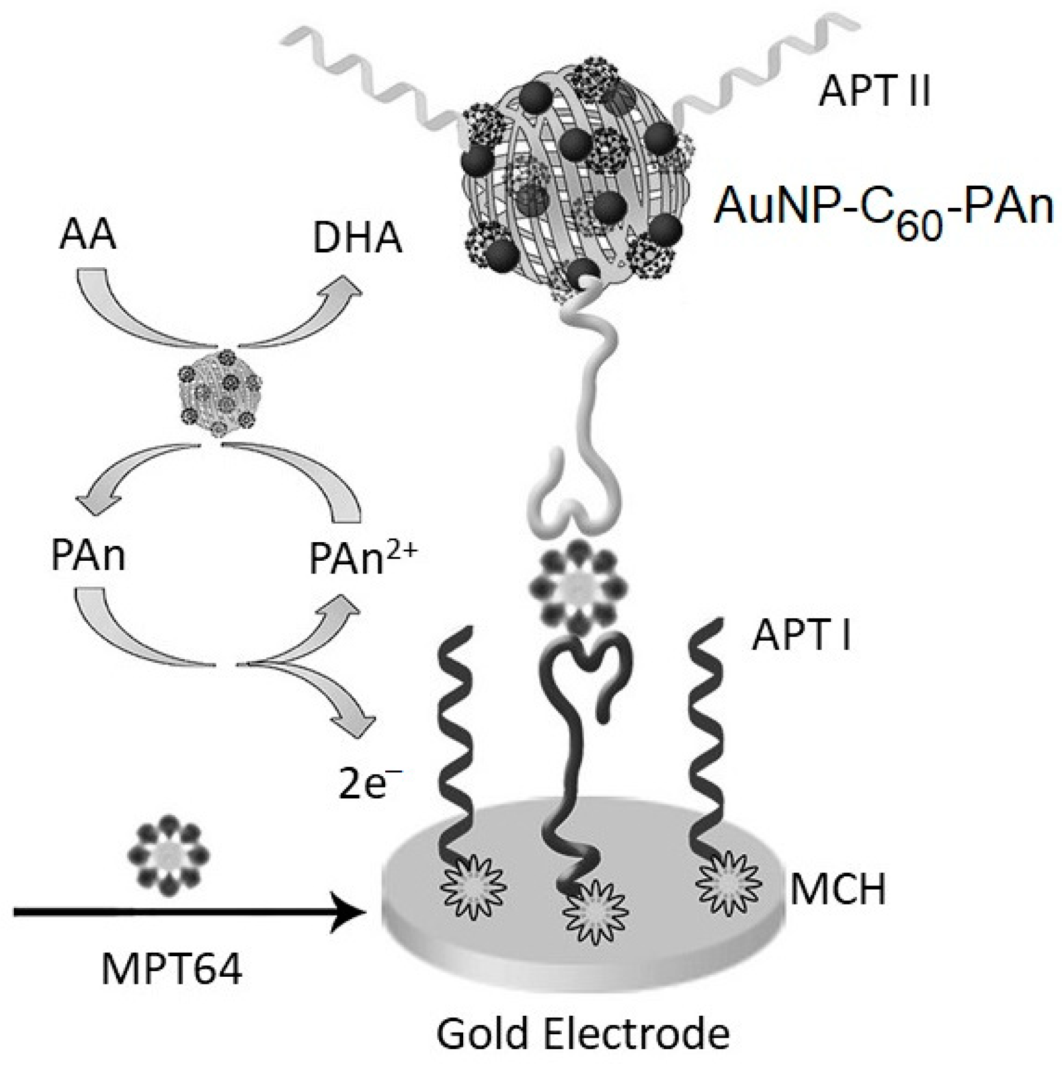 Chemosensors 11 00438 g003 Chemosensors 11 00438 g003