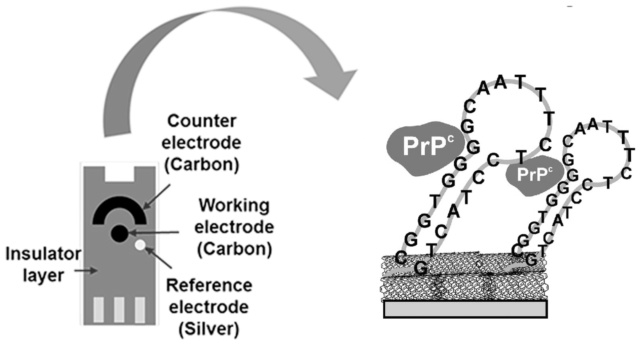 Chemosensors 11 00438 g004 Chemosensors 11 00438 g004