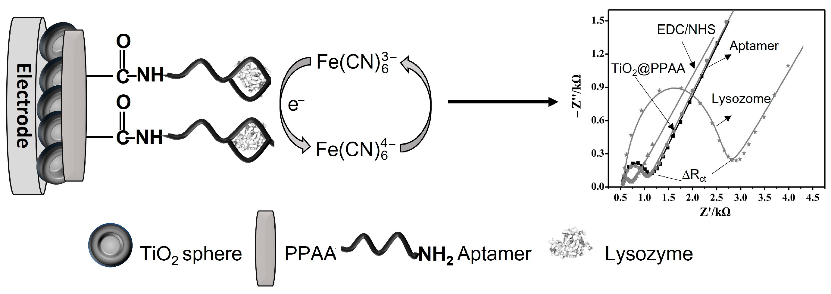 Chemosensors 11 00438 g009 Chemosensors 11 00438 g009