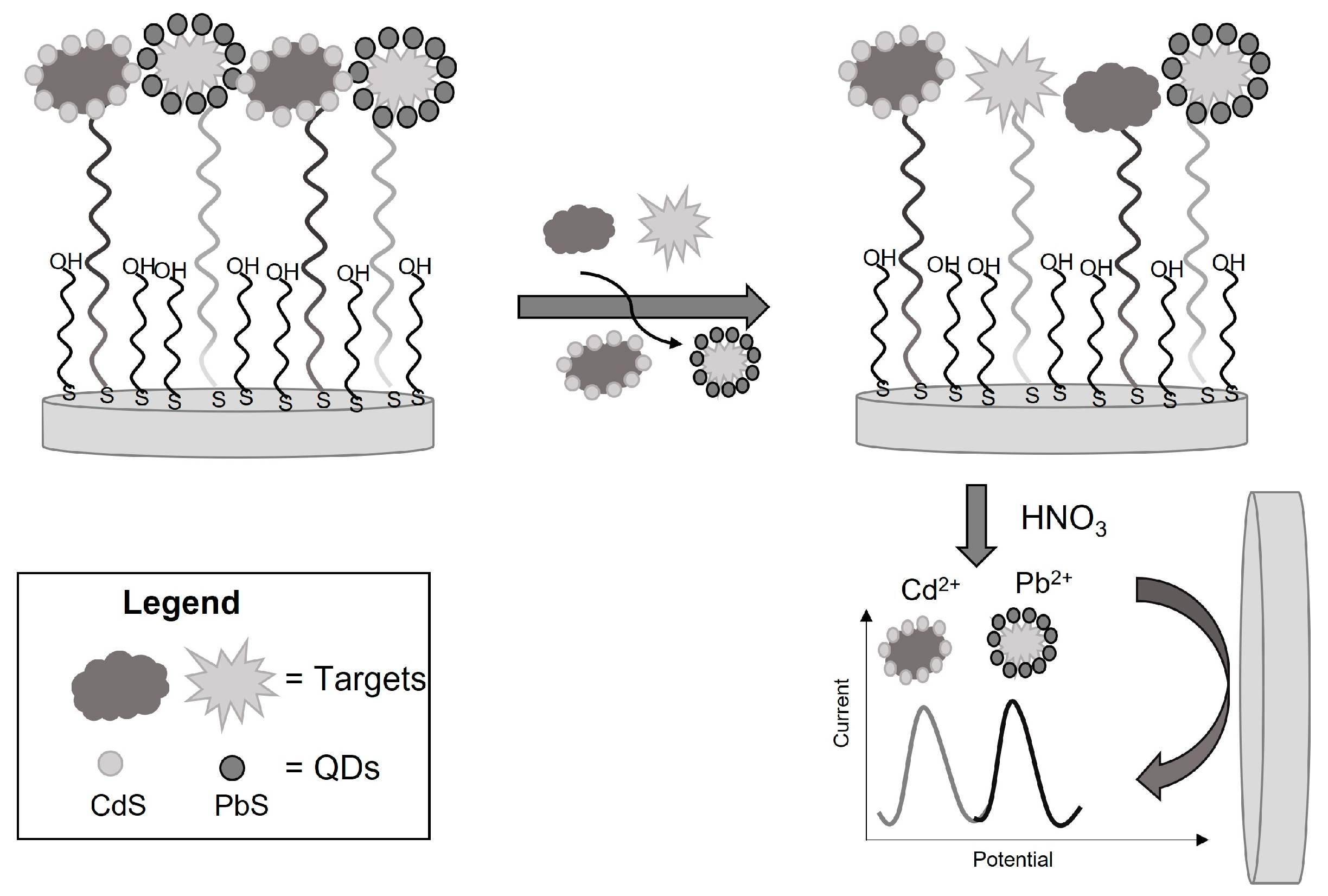 Chemosensors 11 00438 g011 Chemosensors 11 00438 g011