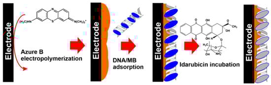 Chemosensors 11 00438 g015
