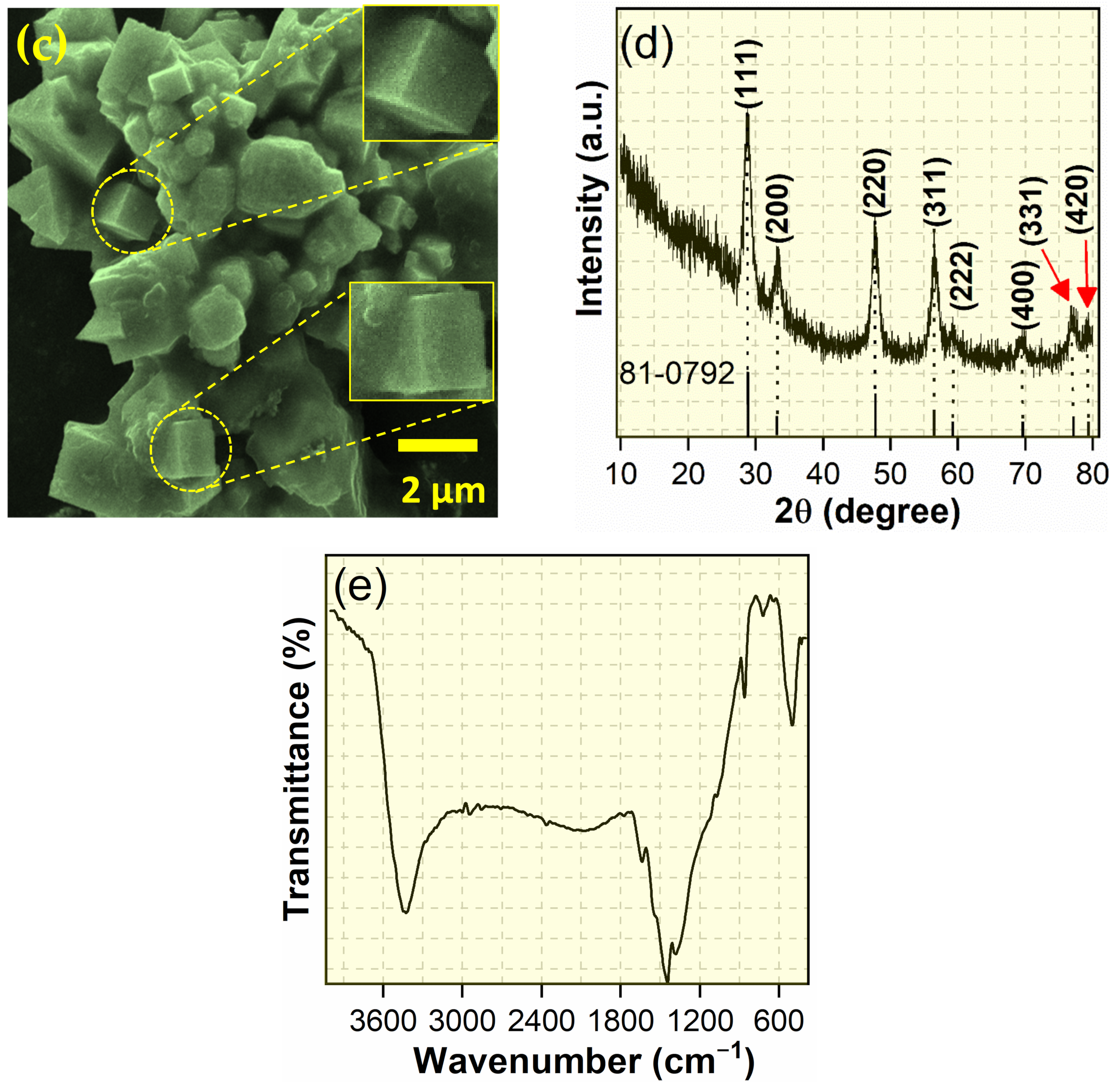 Chemosensors 11 00442 g002b
