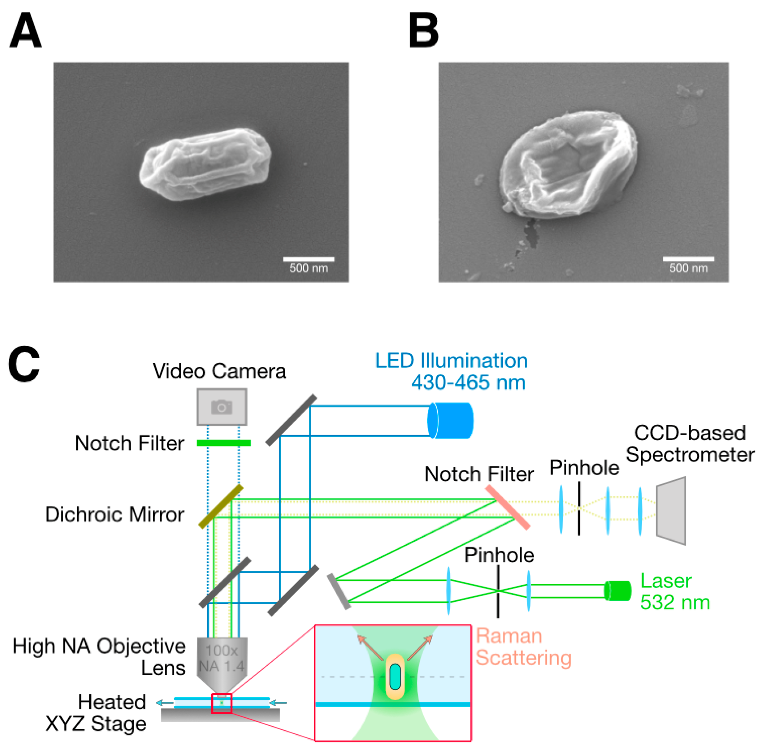 Chemosensors 11 00445 g001