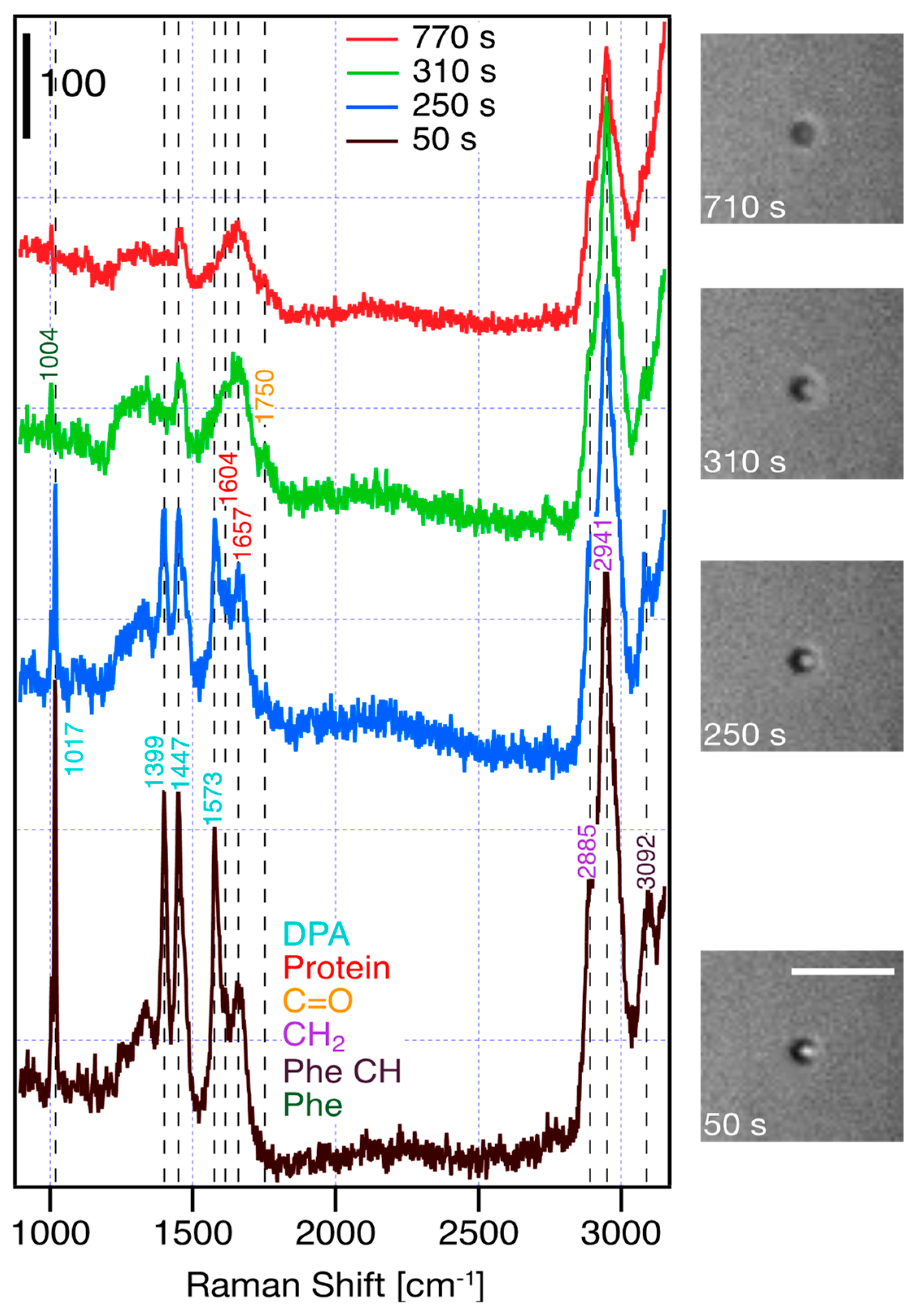 Chemosensors 11 00445 g002