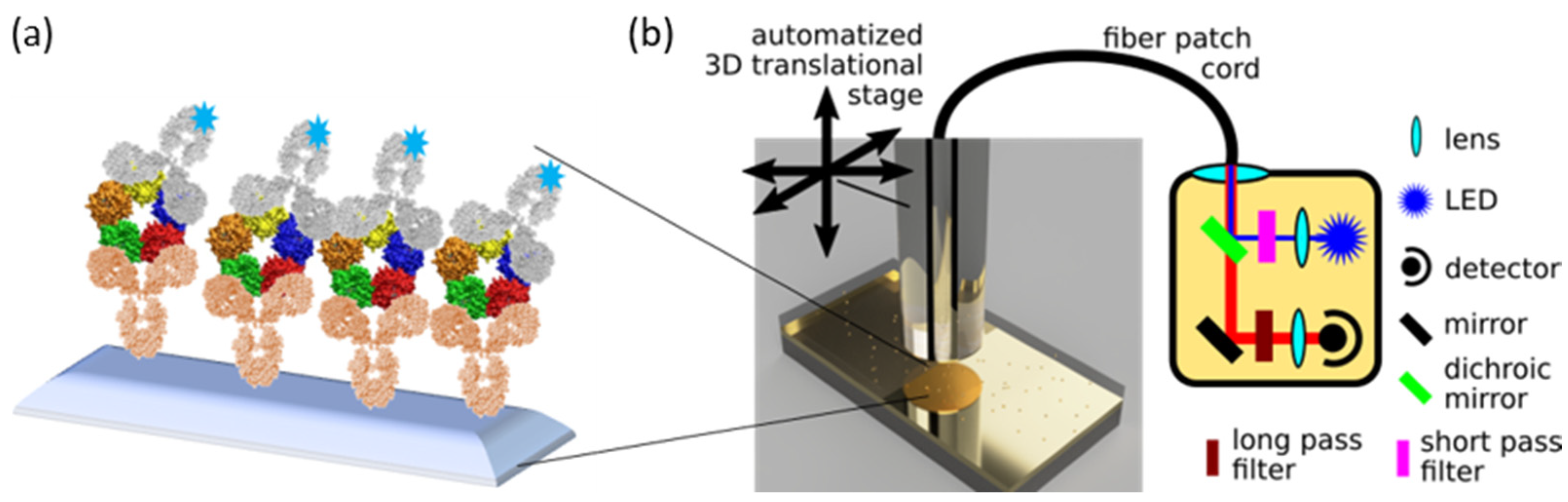 Chemosensors 11 00448 g002