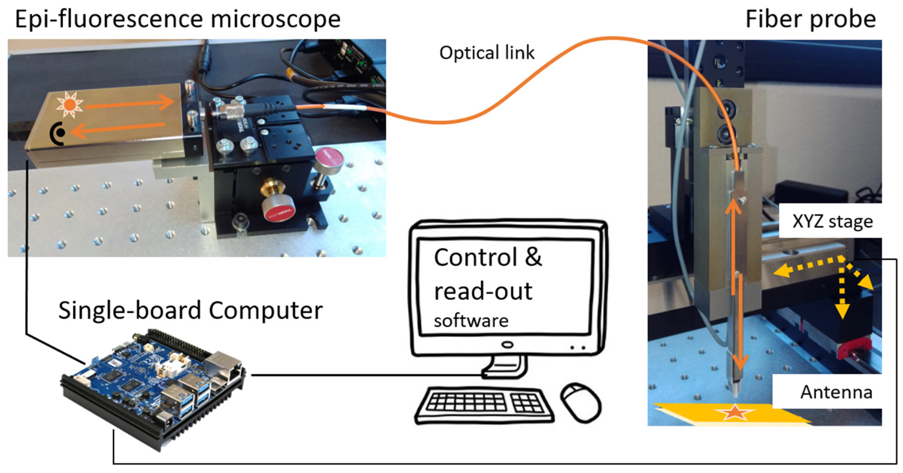 Chemosensors 11 00448 g003