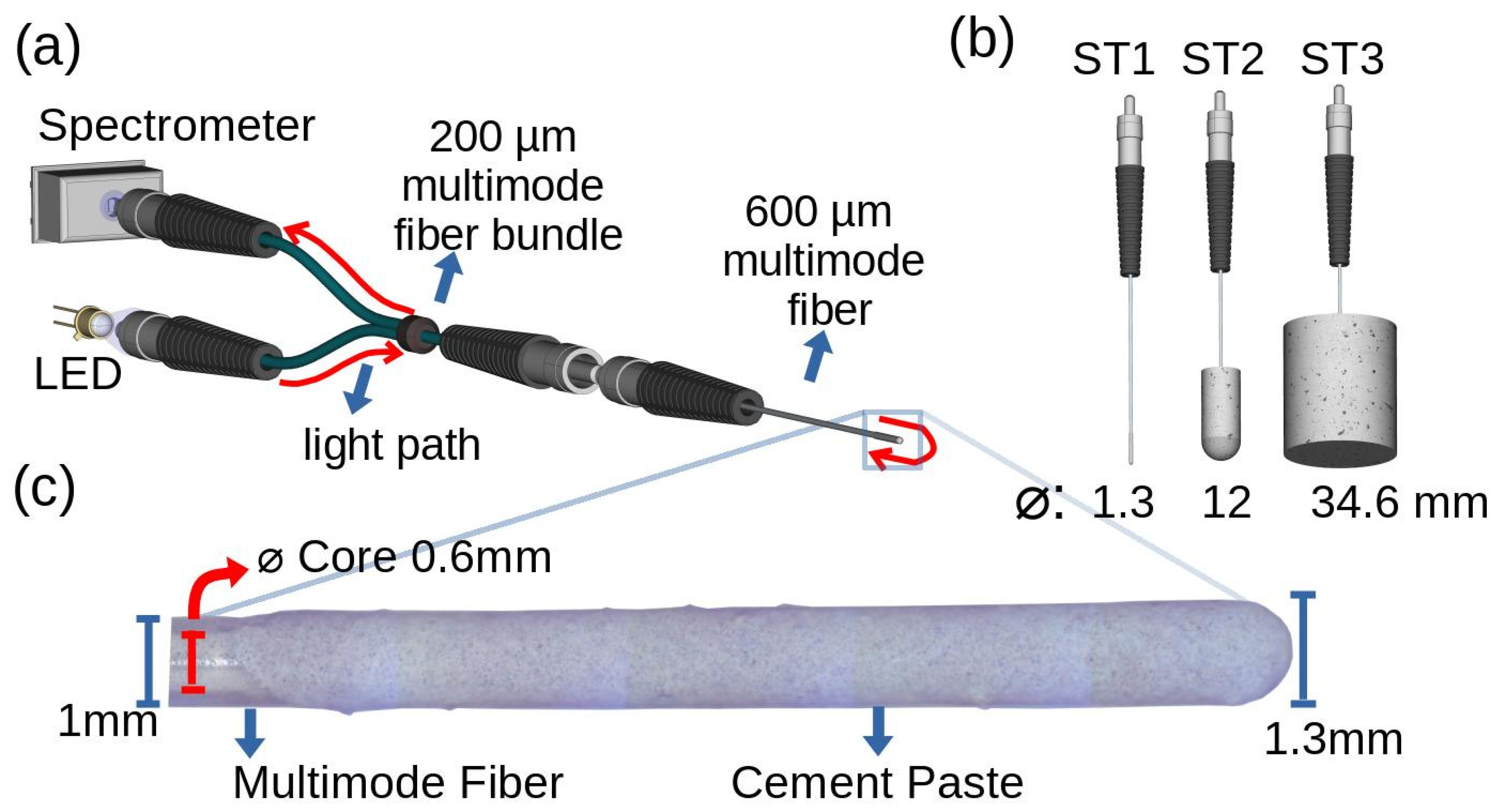 Chemosensors 11 00449 g005