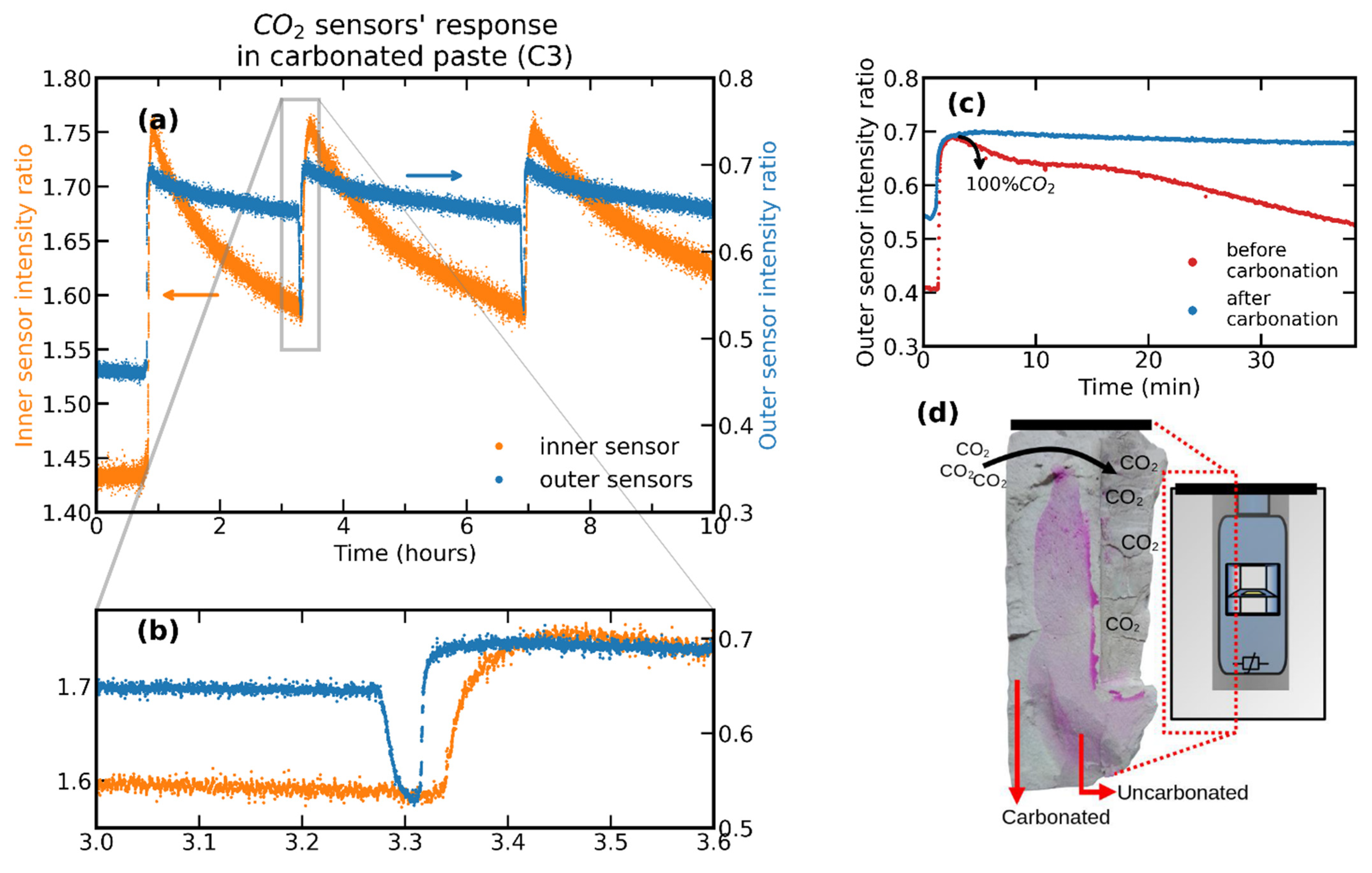 Chemosensors 11 00449 g008