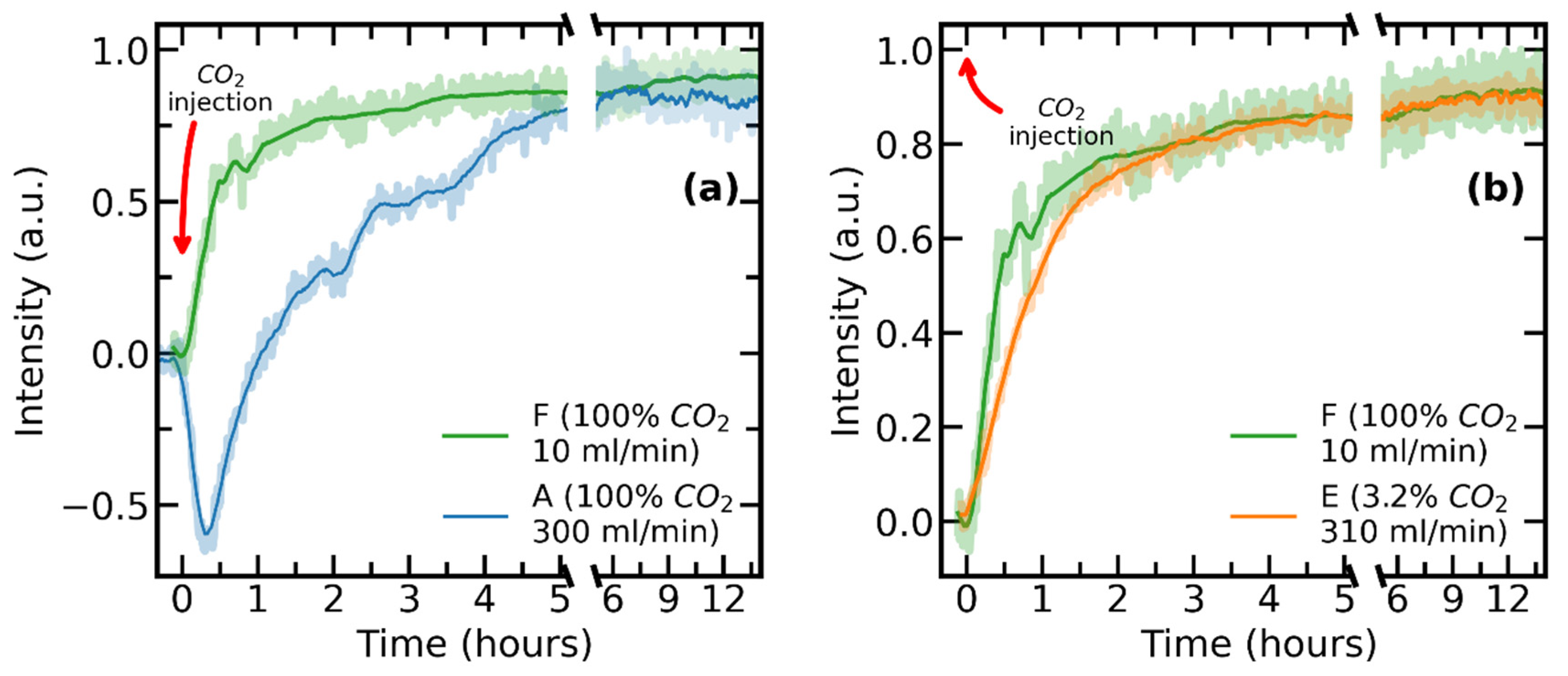 Chemosensors 11 00449 g010