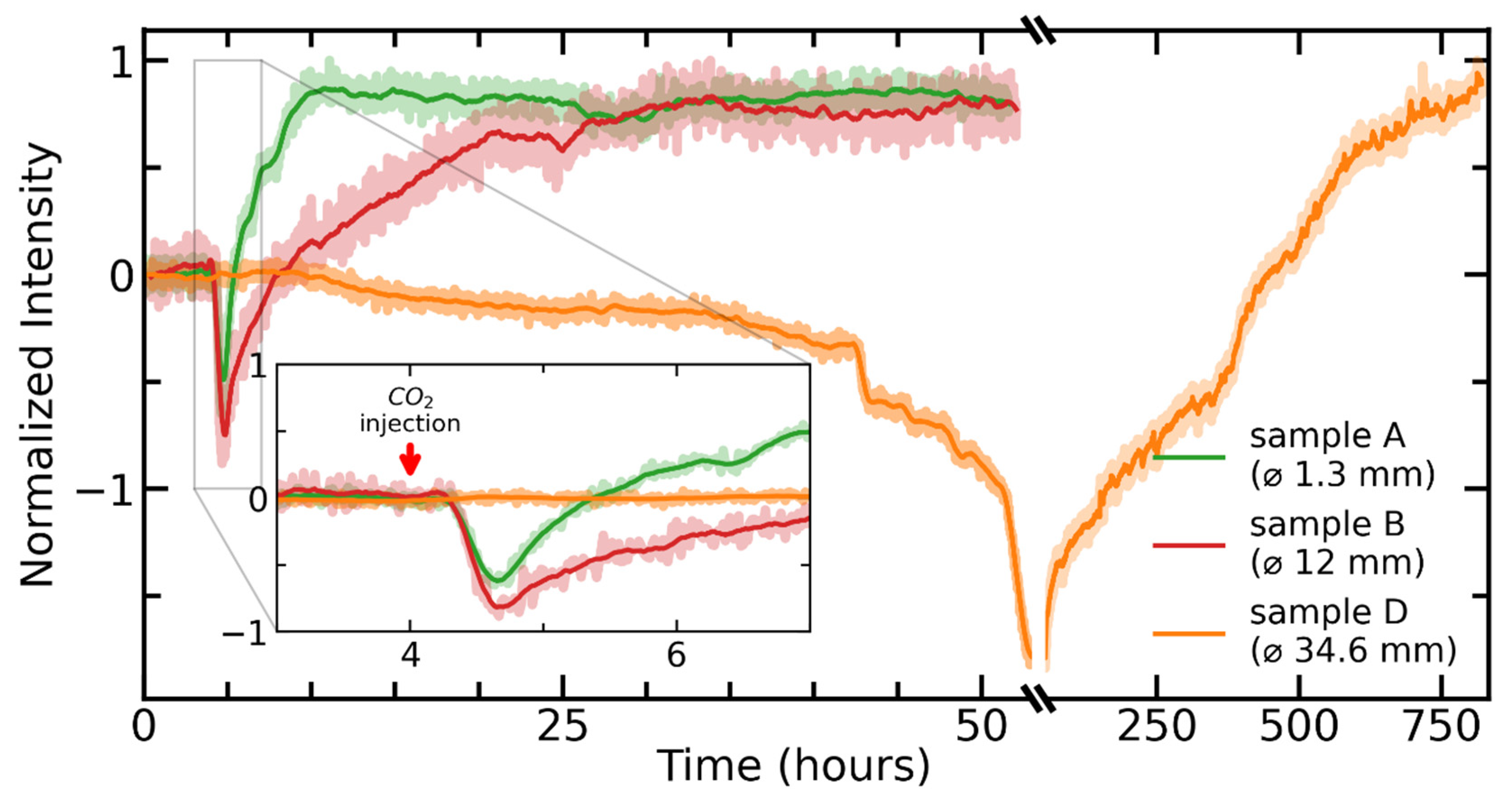Chemosensors 11 00449 g011