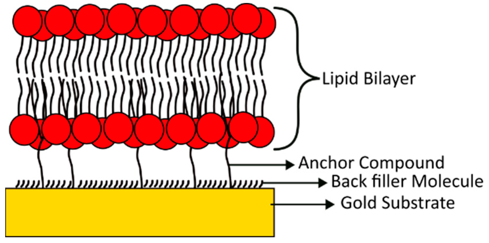 Chemosensors 11 00450 g001