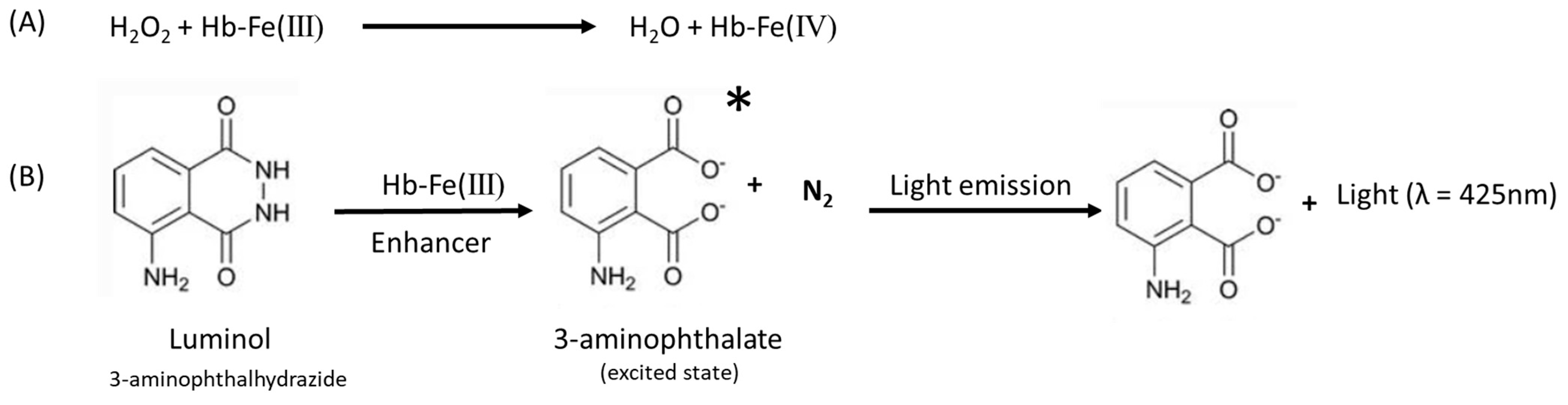 Chemosensors 11 00455 g001