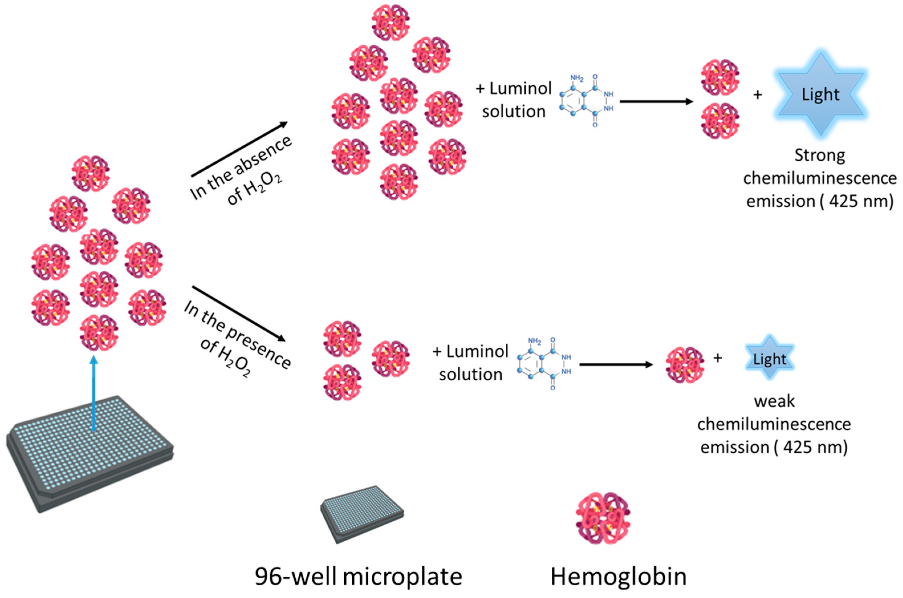 Chemosensors 11 00455 g002