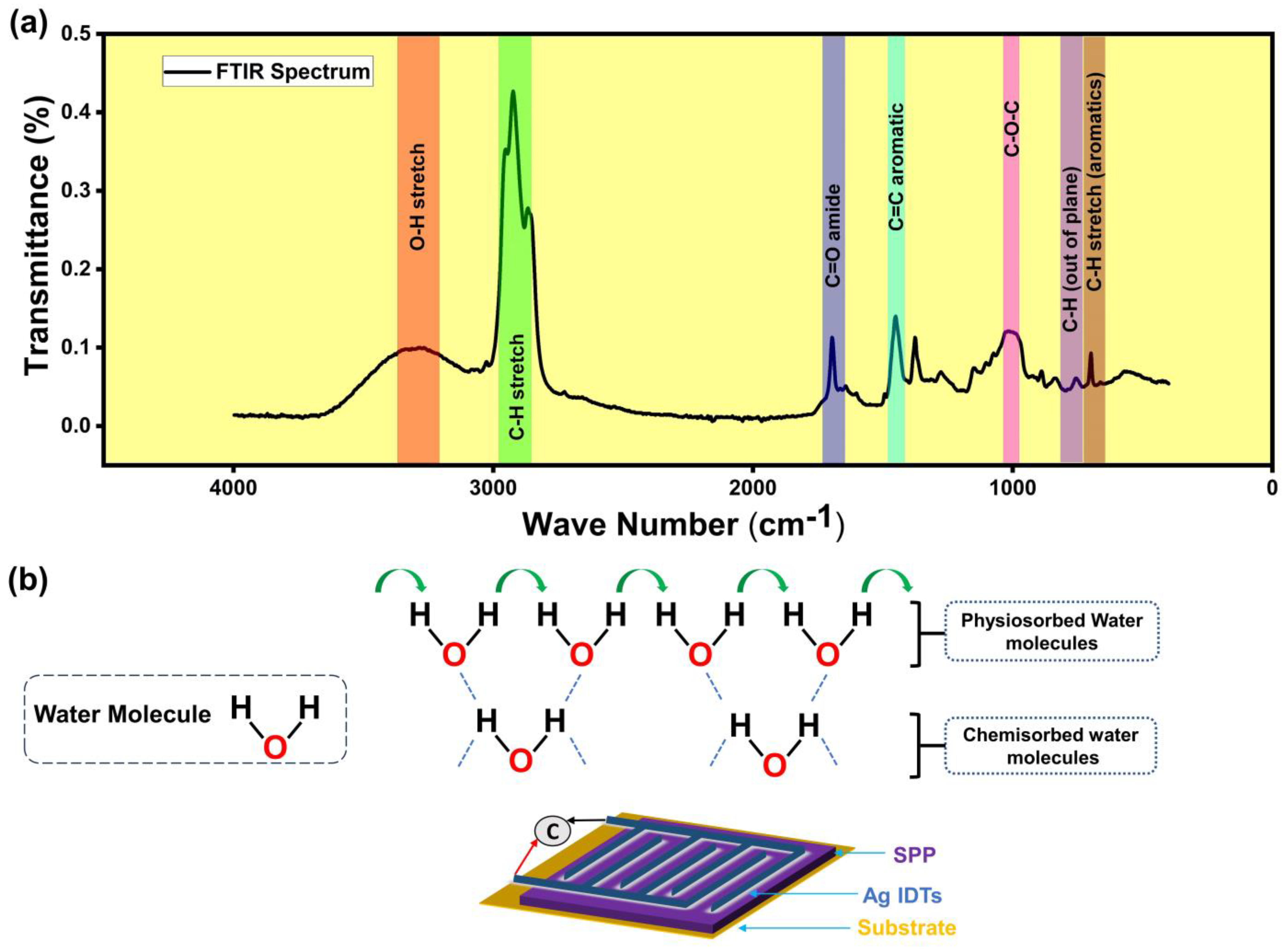 Chemosensors 11 00457 g005