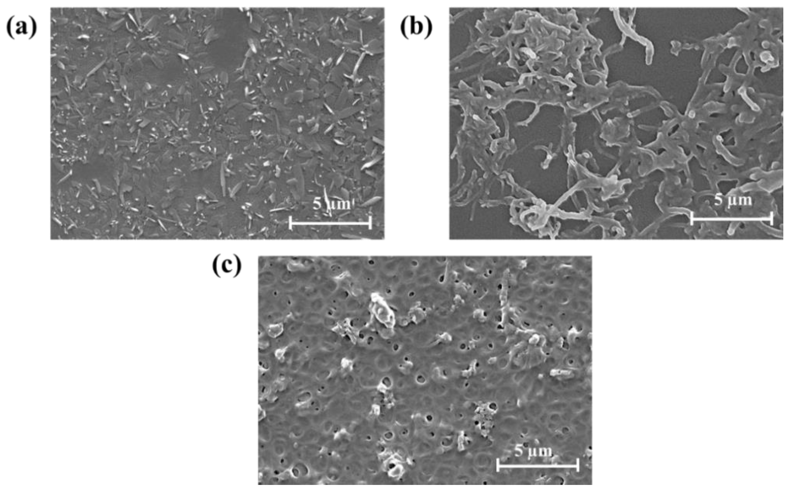 Chemosensors 11 00458 g001