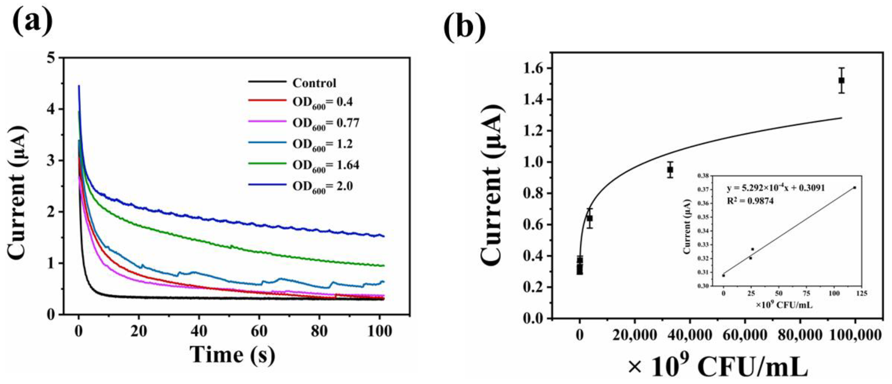 Chemosensors 11 00458 g005