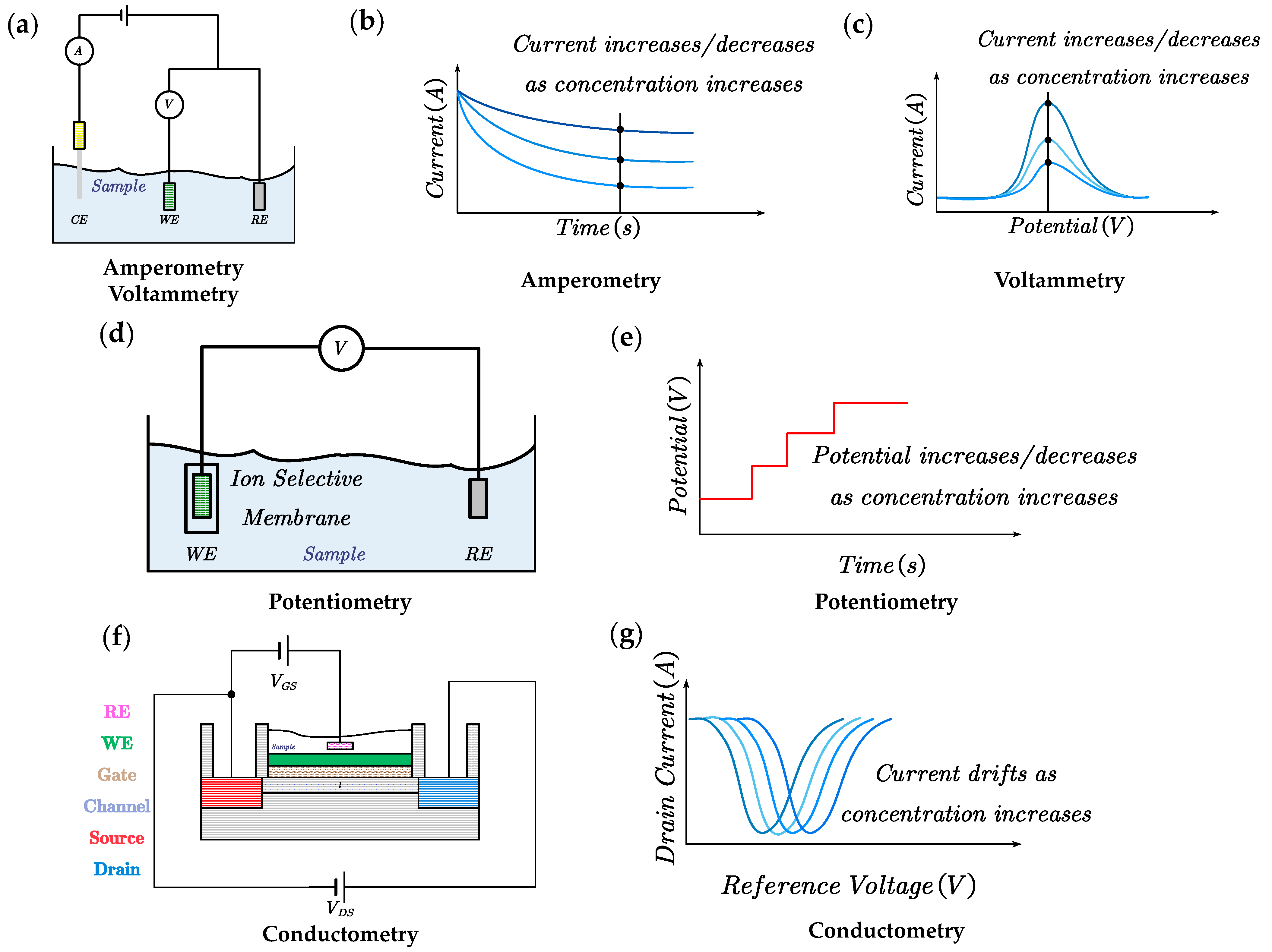 Chemosensors 11 00459 g002