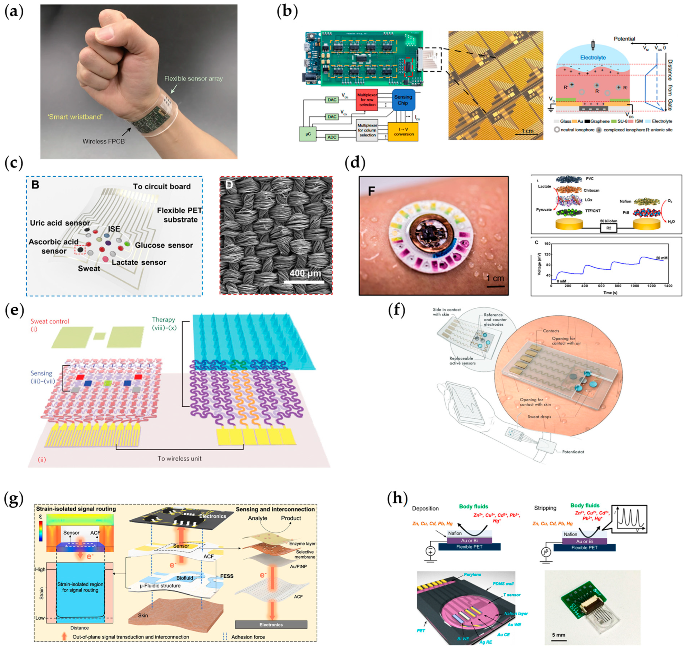 Chemosensors 11 00459 g004