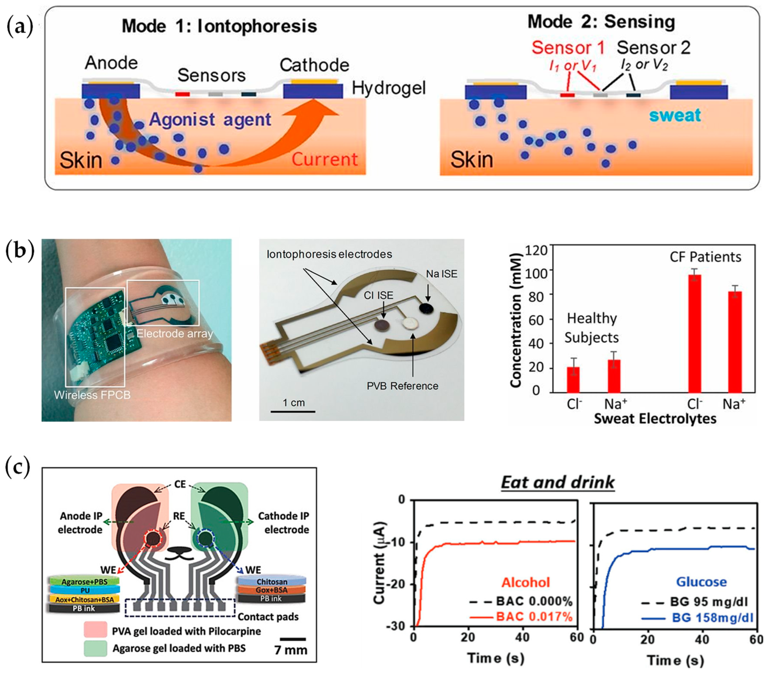 Chemosensors 11 00459 g005